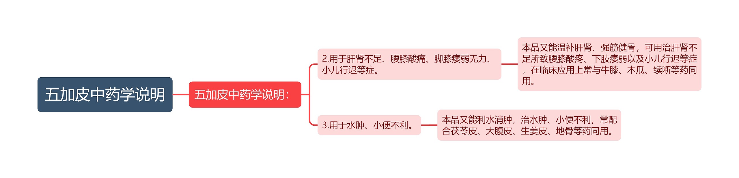 五加皮中药学说明思维导图