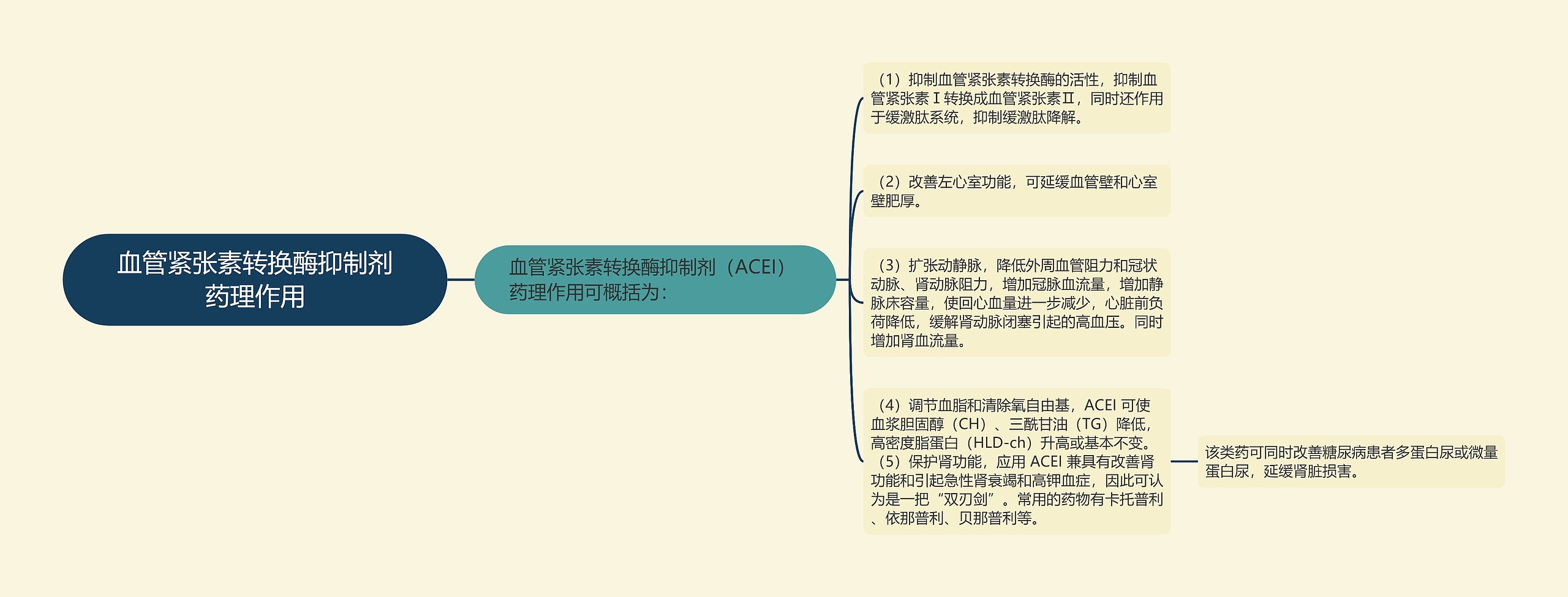 血管紧张素转换酶抑制剂药理作用思维导图