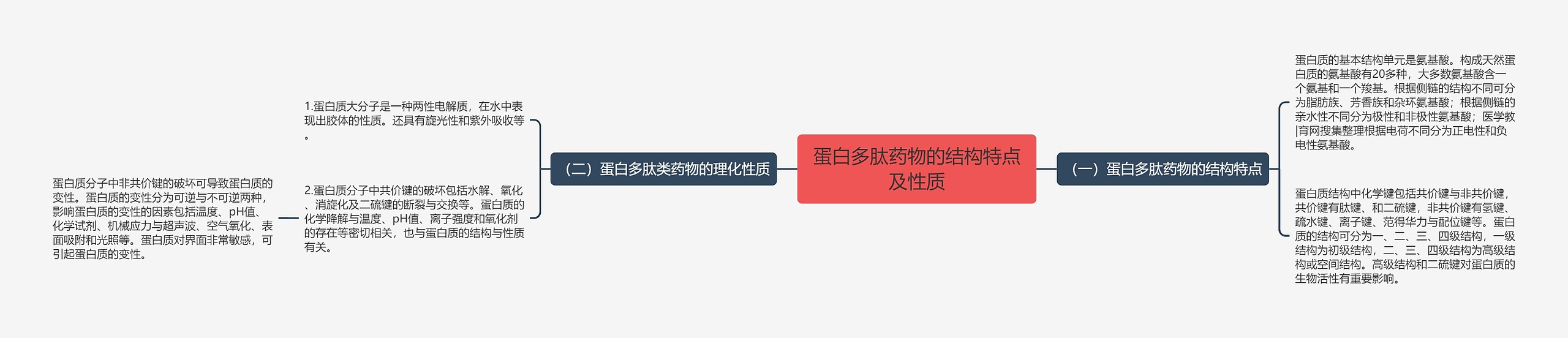 蛋白多肽药物的结构特点及性质思维导图