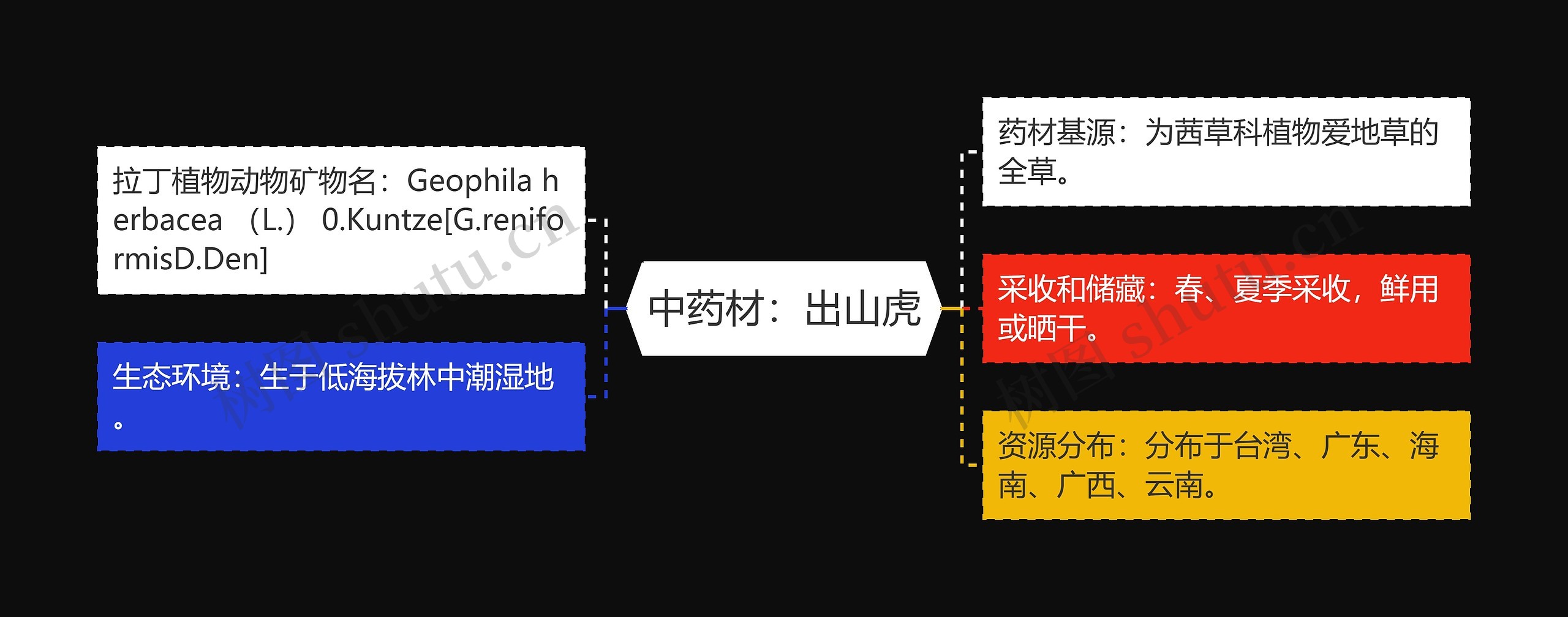 中药材:出山虎 中药材:出山虎