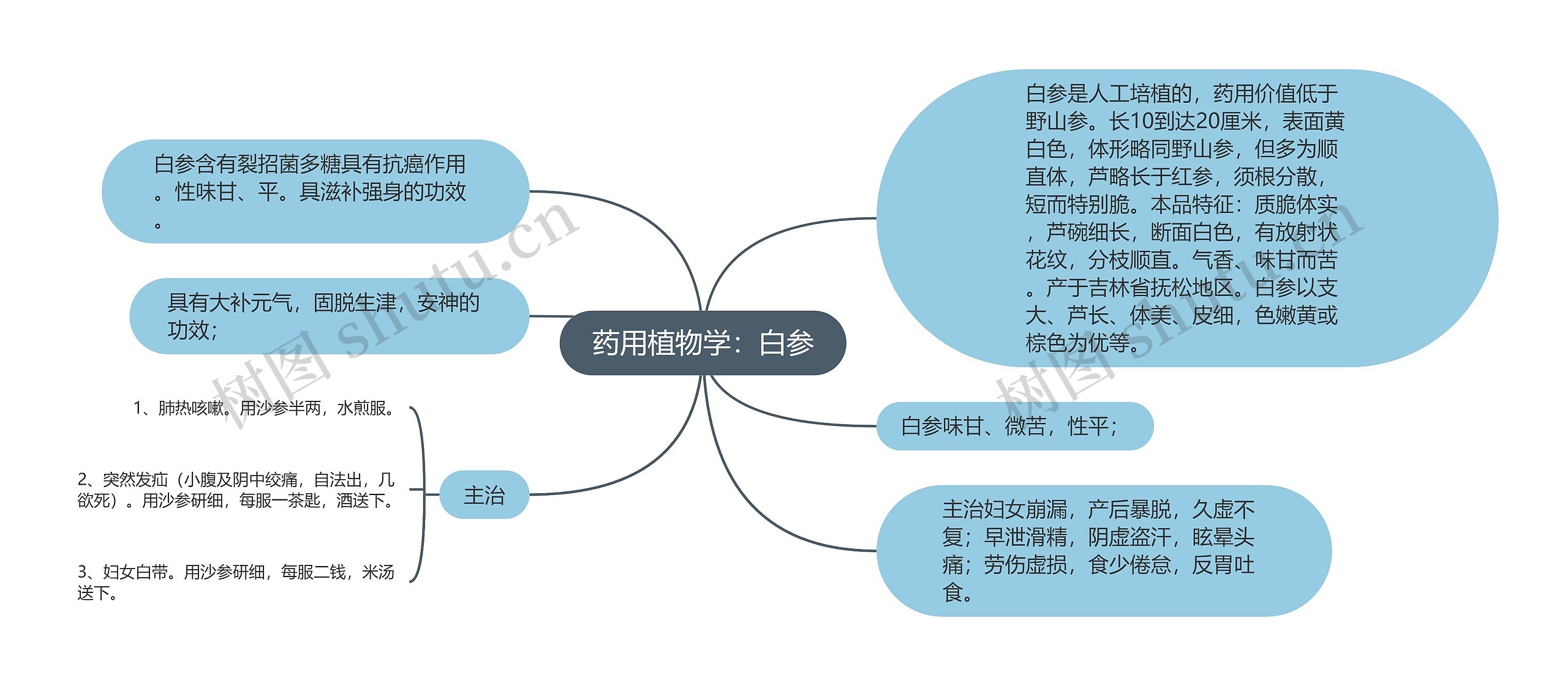 药用植物学：白参