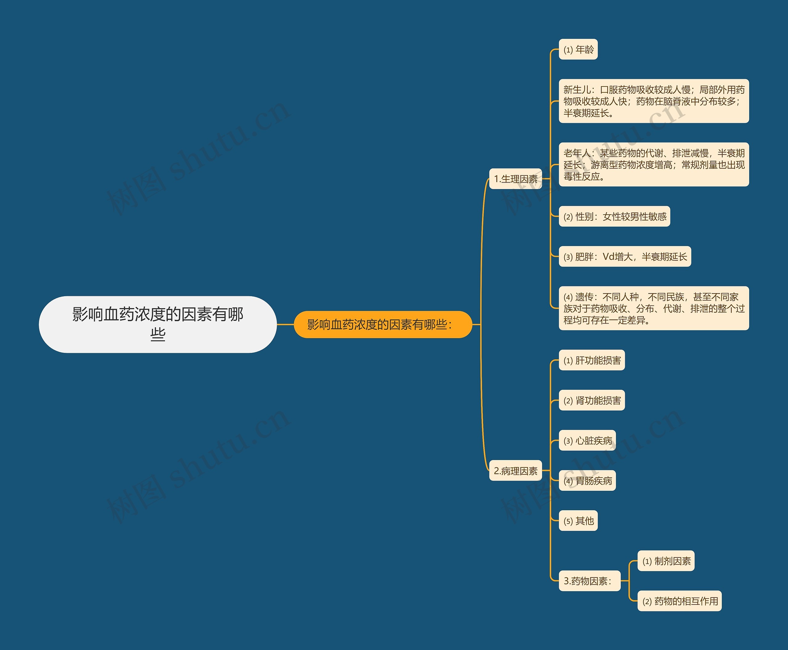 影响血药浓度的因素有哪些思维导图