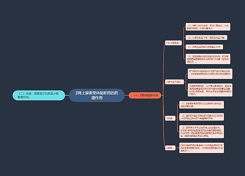 β肾上腺素受体阻断药的药理作用