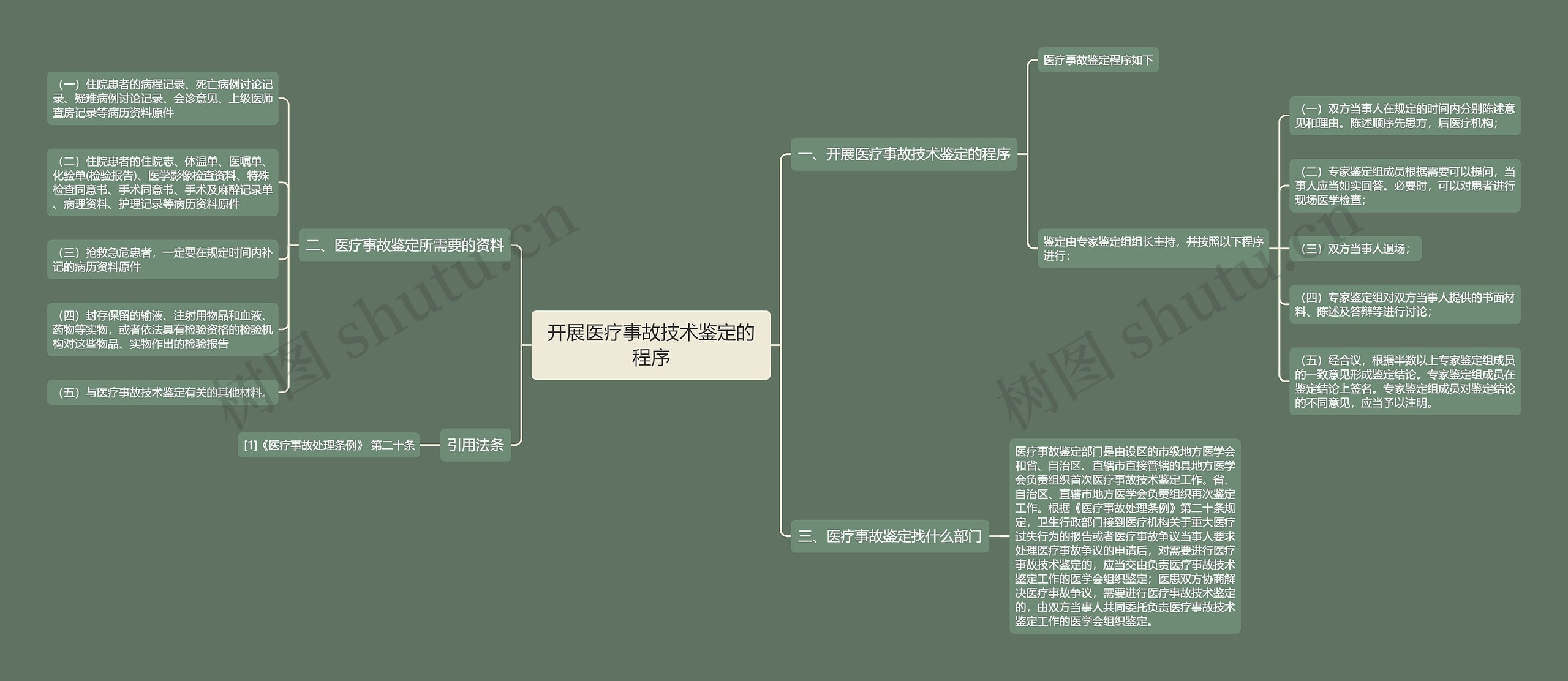 开展医疗事故技术鉴定的程序思维导图