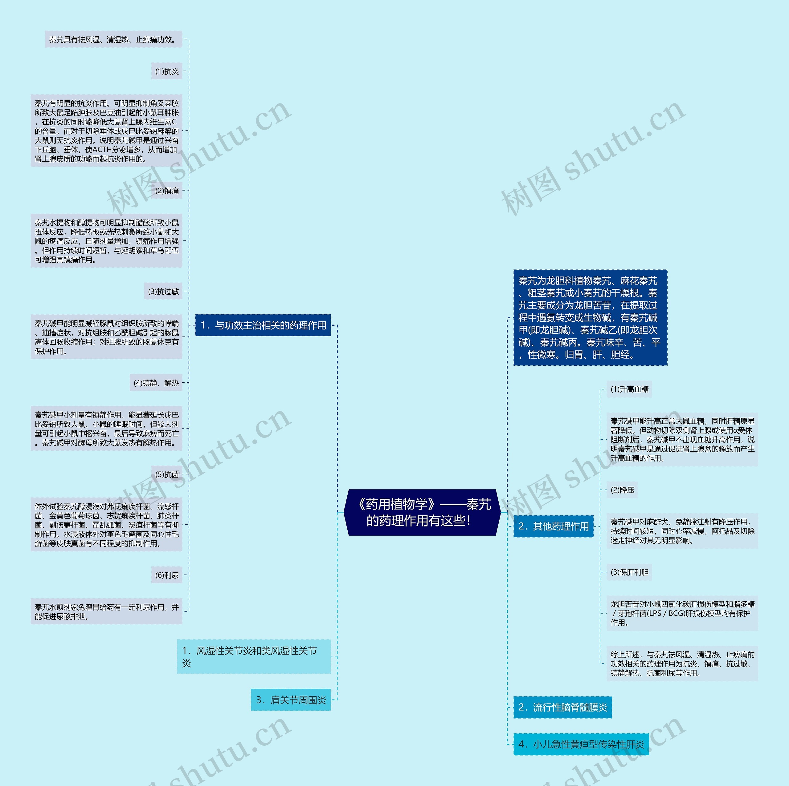 《药用植物学》——秦艽的药理作用有这些！思维导图