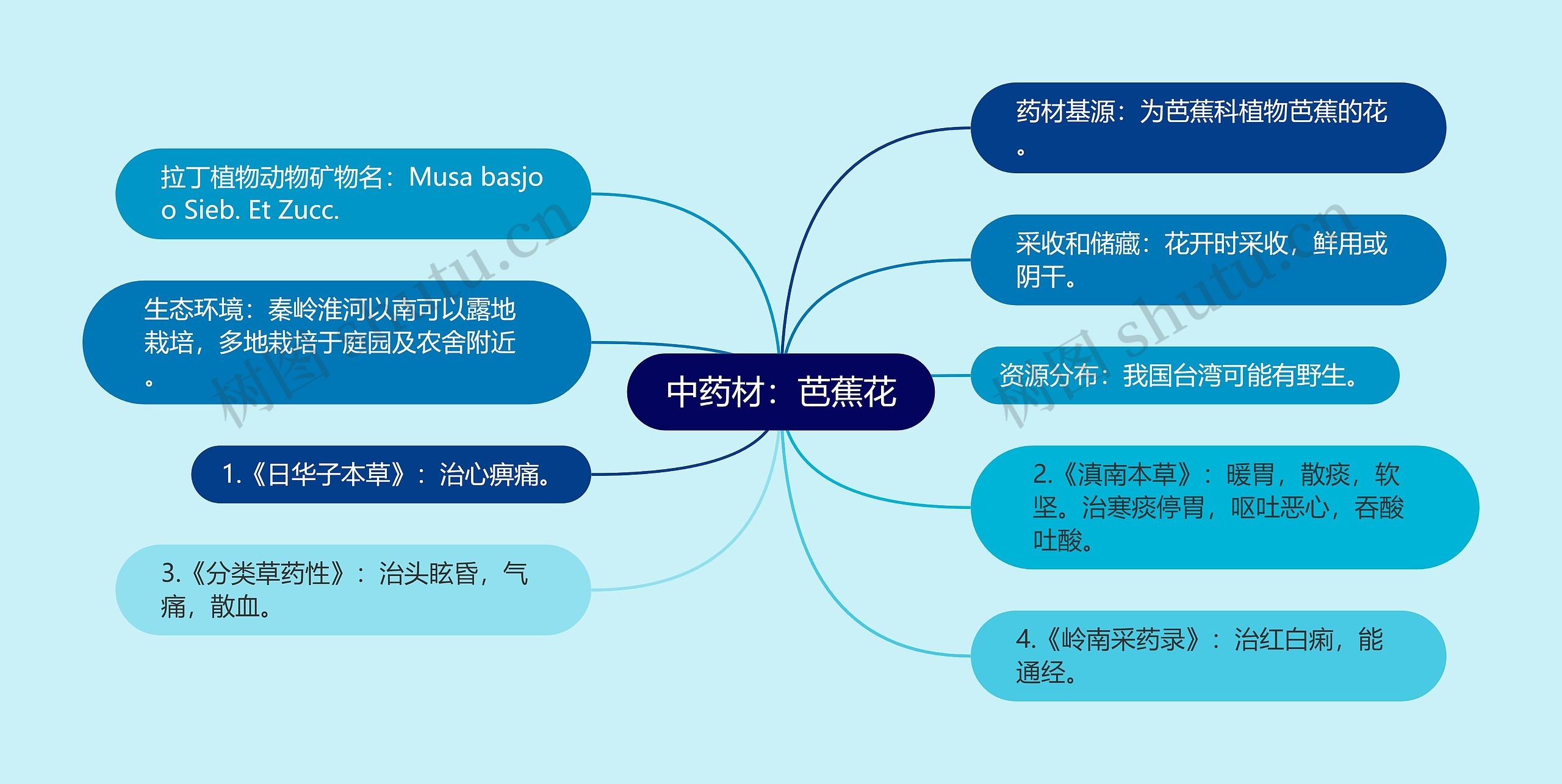 中药材：芭蕉花思维导图