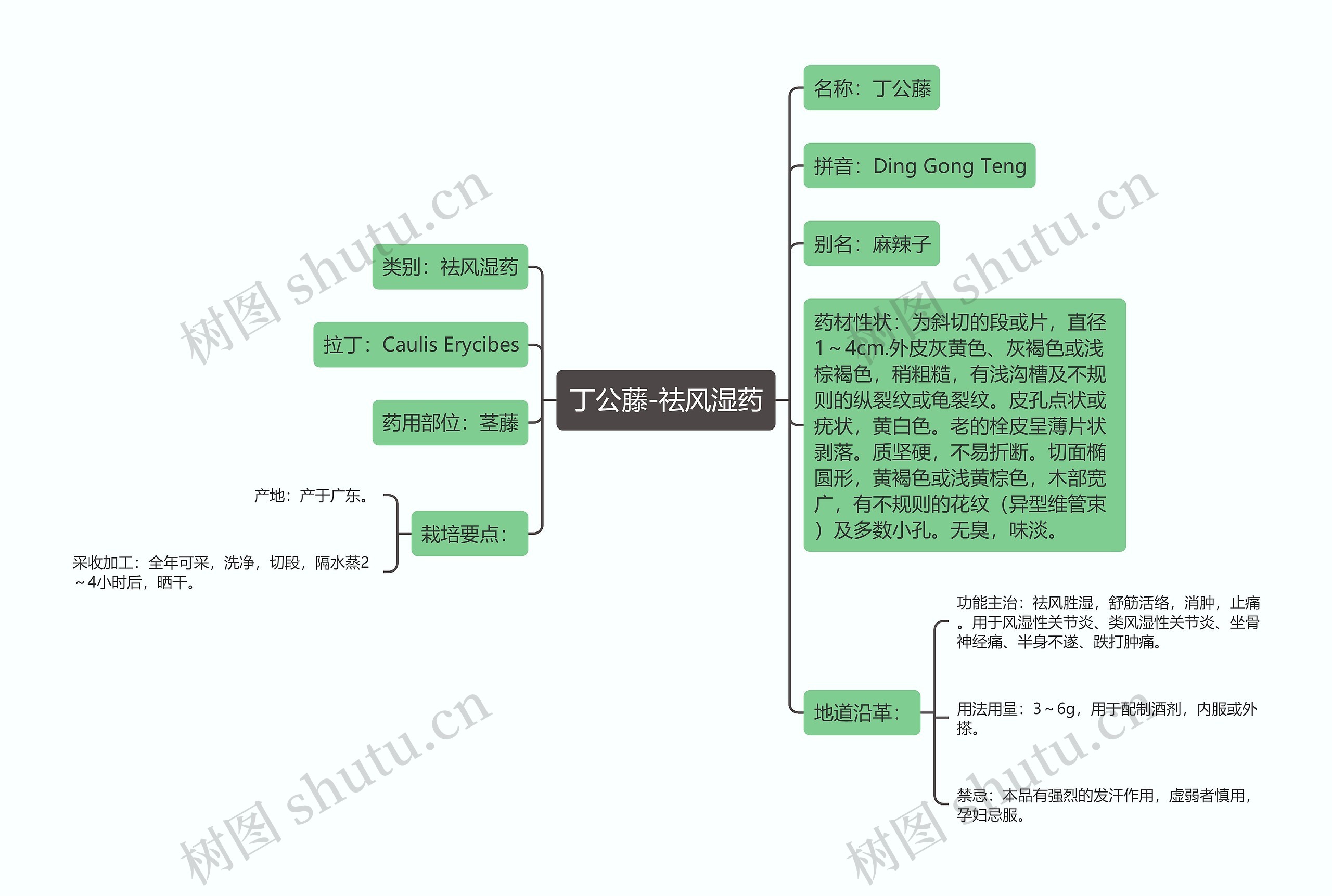 丁公藤-祛风湿药思维导图