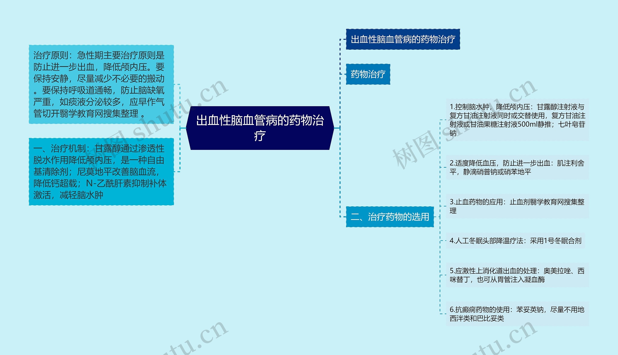 出血性脑血管病的药物治疗思维导图