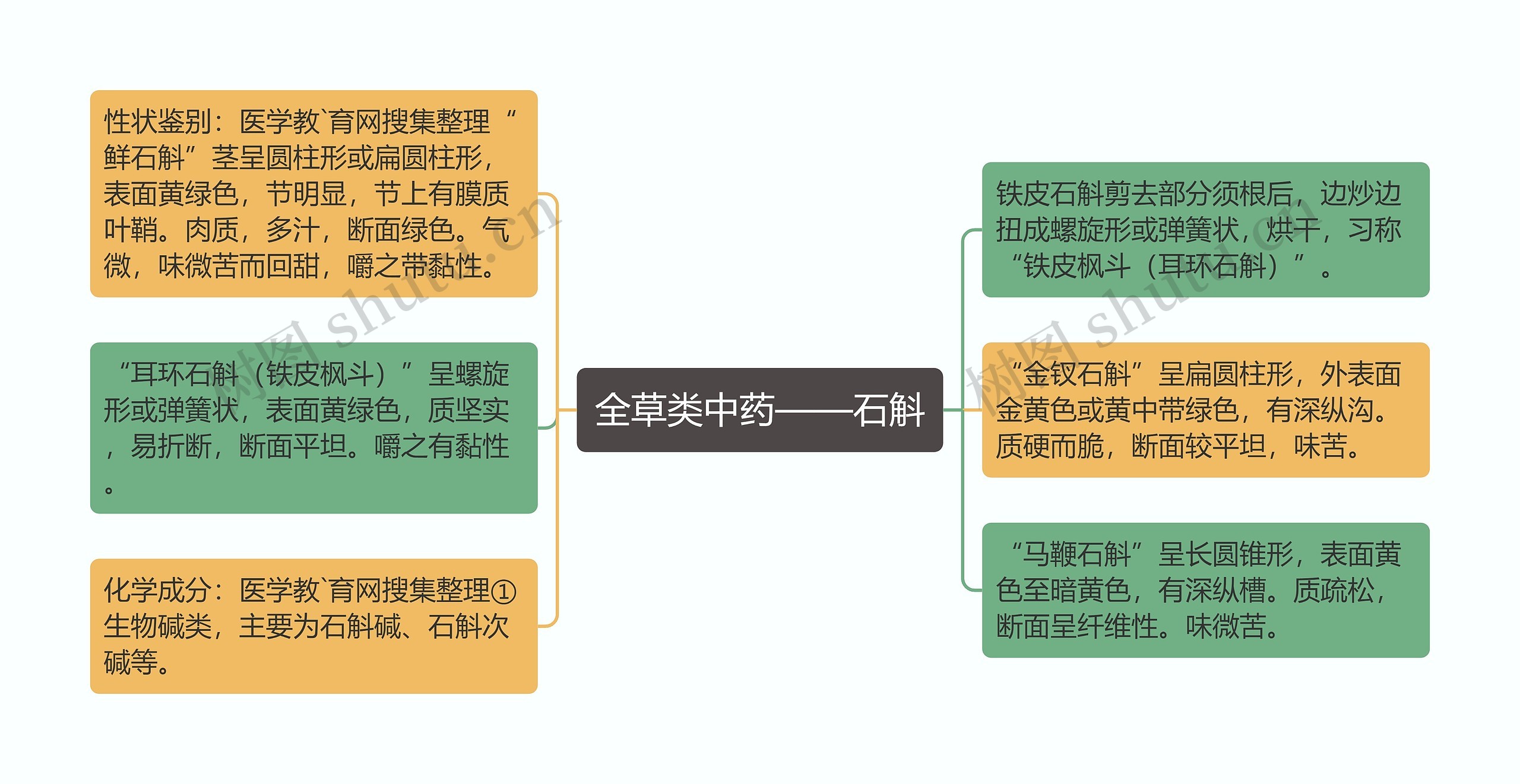 全草类中药——石斛思维导图