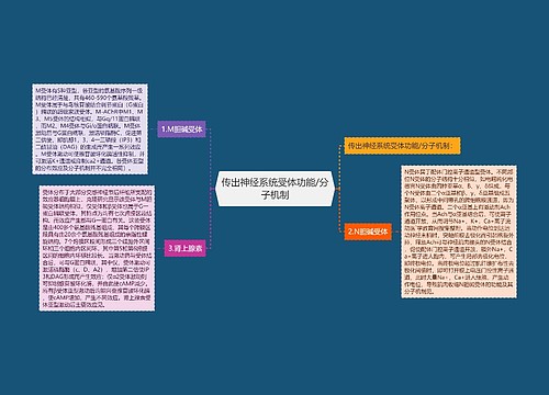 传出神经系统受体功能/分子机制