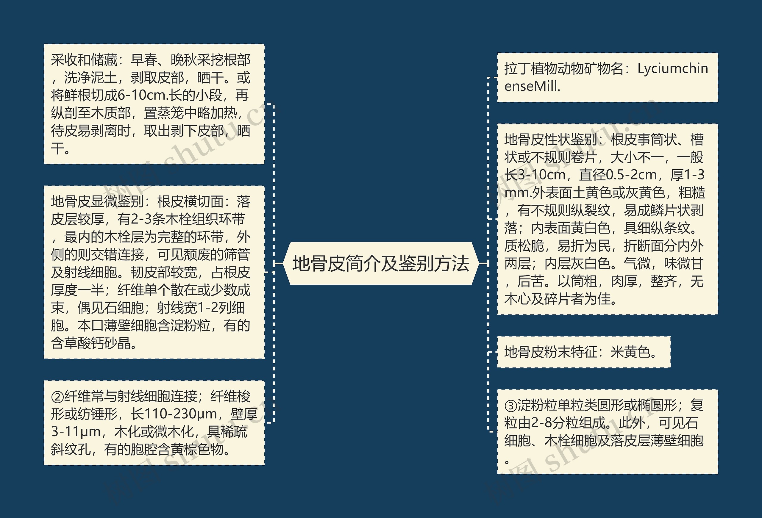 地骨皮简介及鉴别方法思维导图