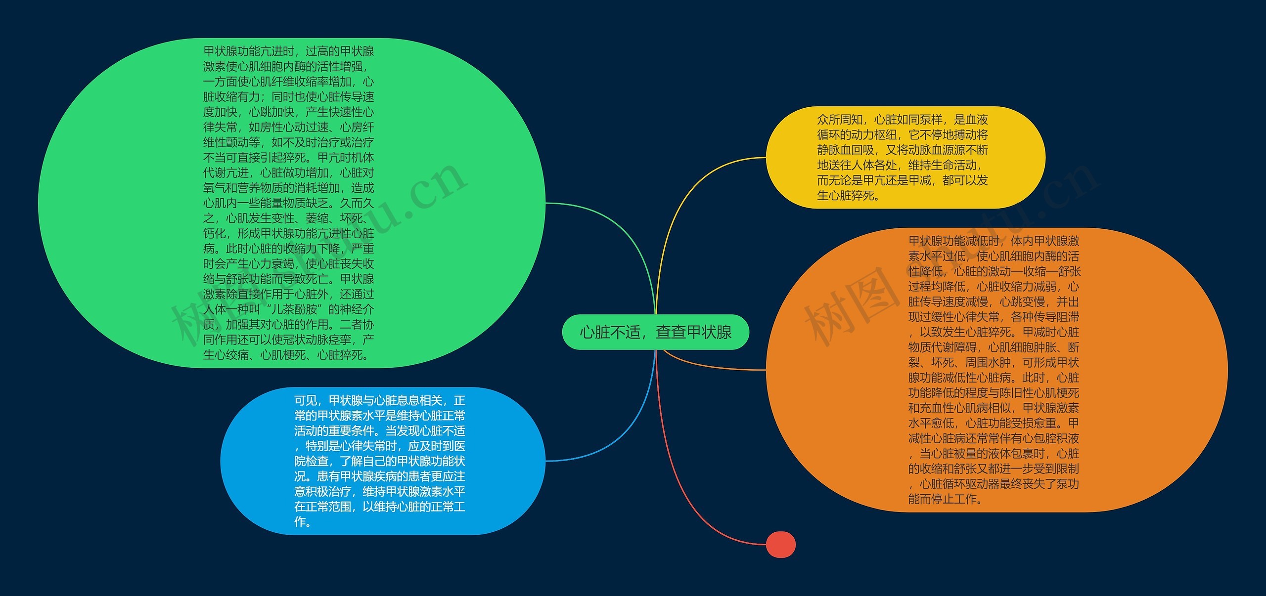 心脏不适，查查甲状腺思维导图