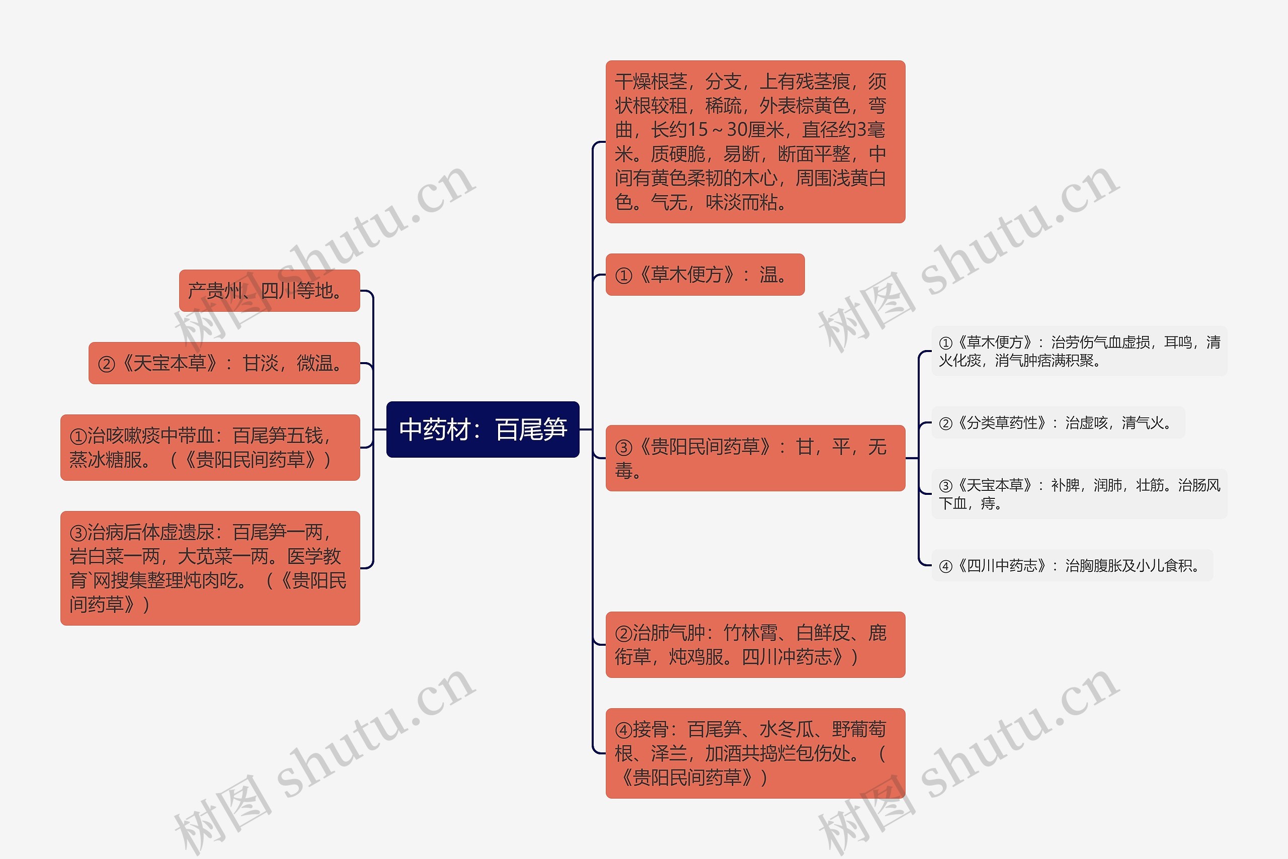 中药材：百尾笋思维导图