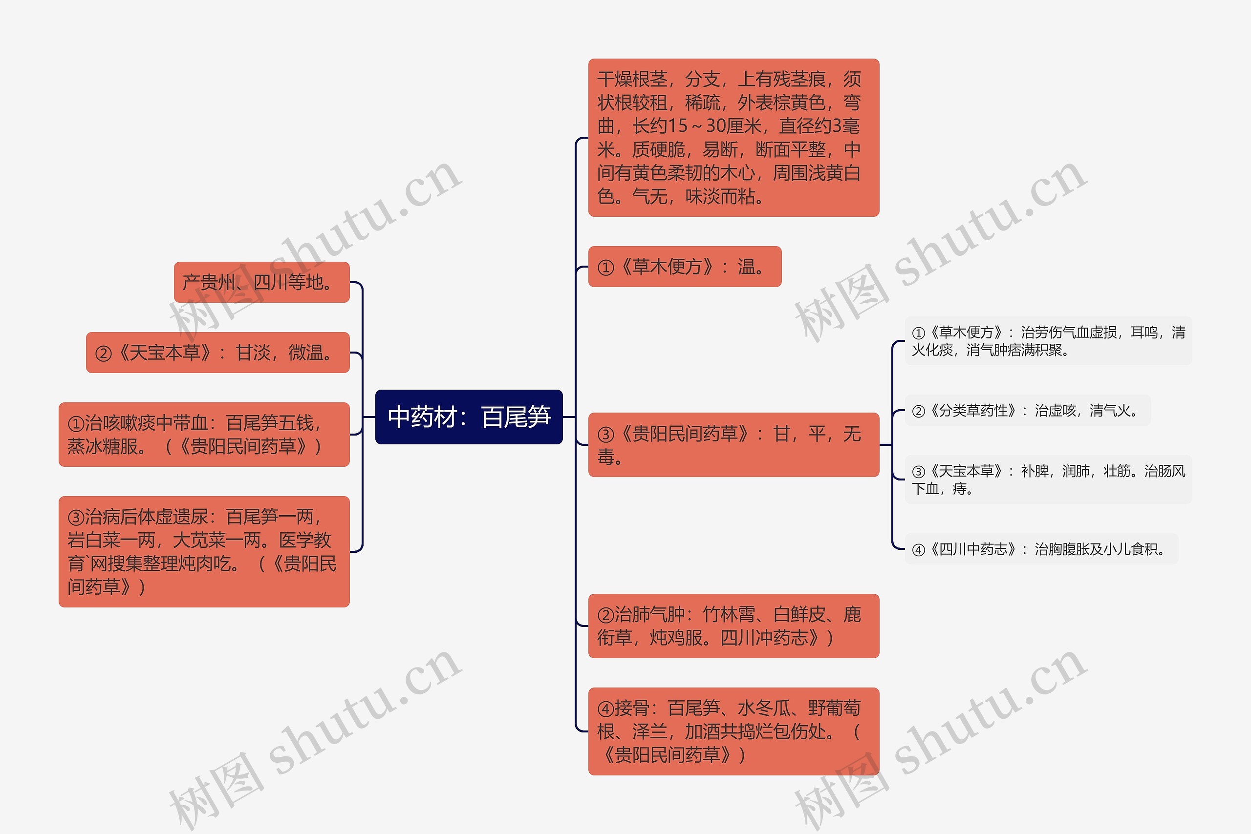 中药材:百尾笋 中药材:百尾笋