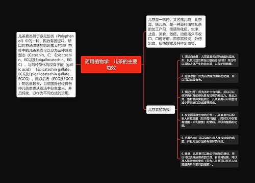 药用植物学：儿茶的主要功效