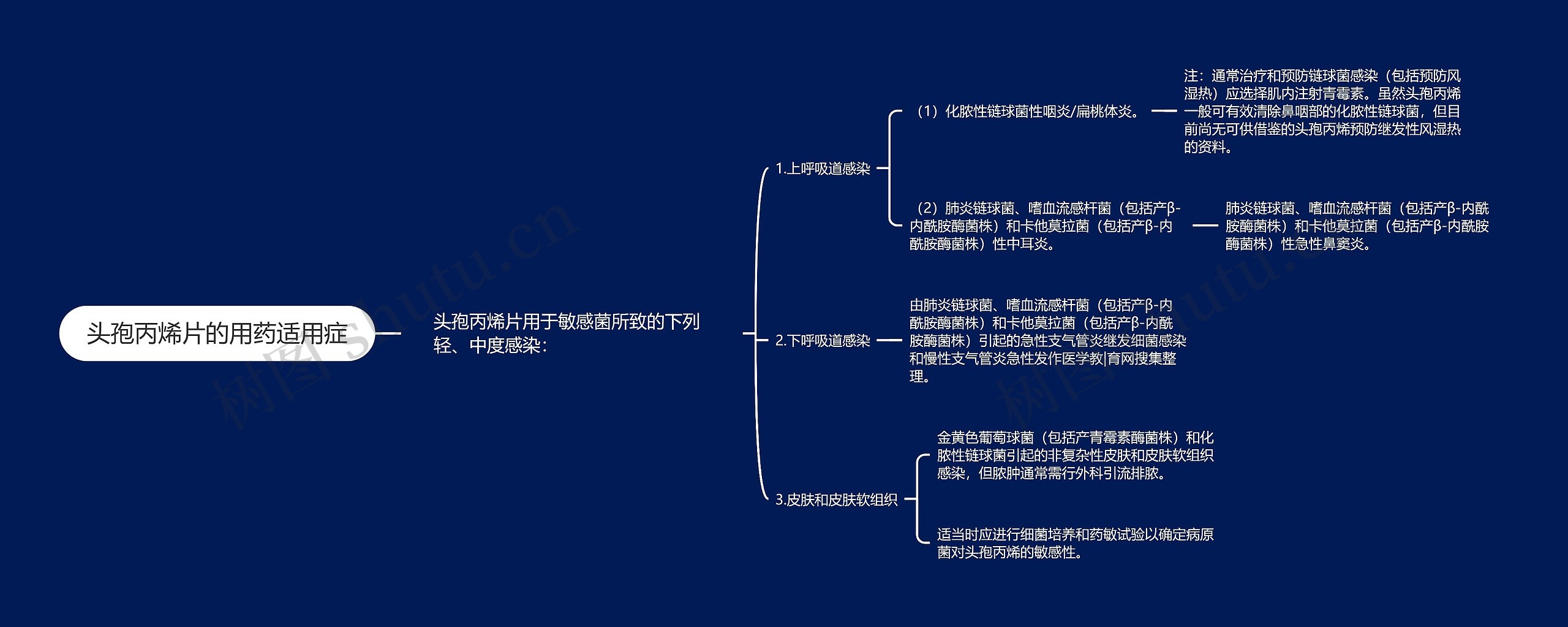 头孢丙烯片的用药适用症