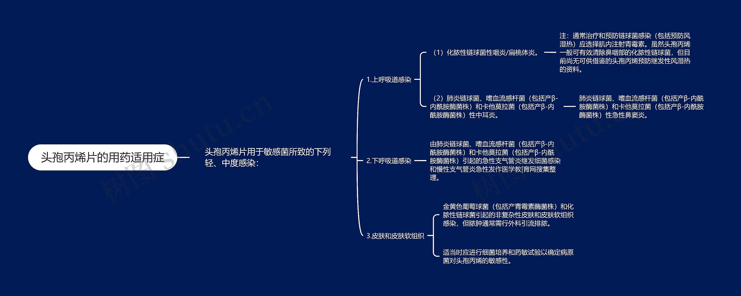 头孢丙烯片的用药适用症 头孢丙烯片的用药适用症