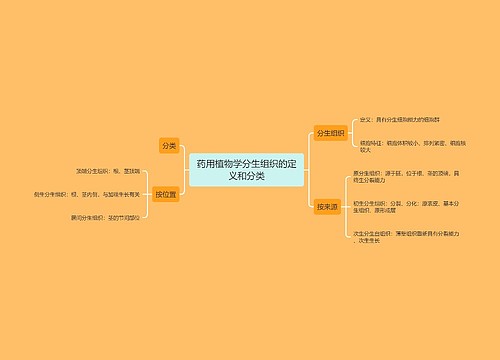 药用植物学分生组织的定义和分类