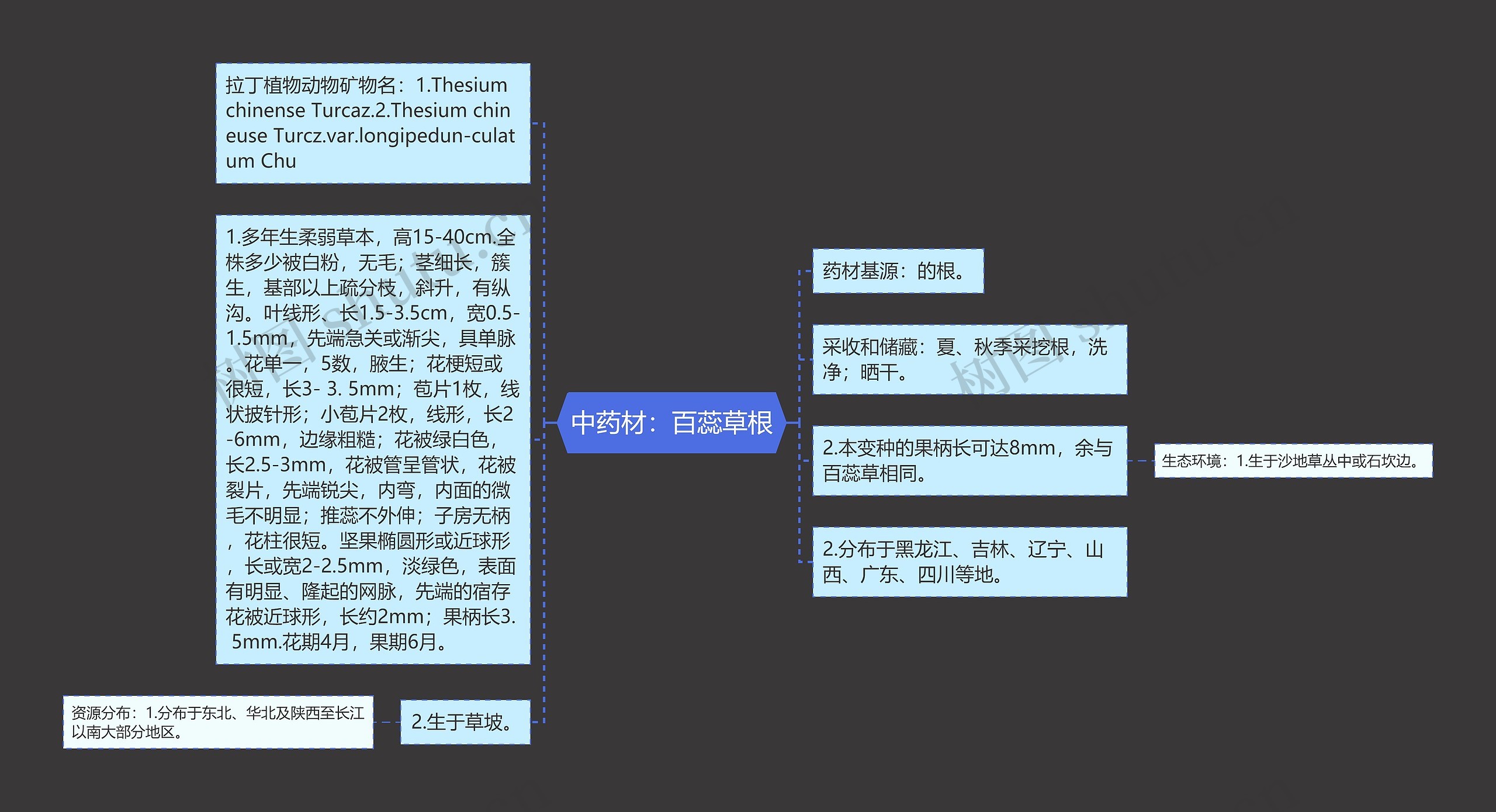 中药材：百蕊草根思维导图