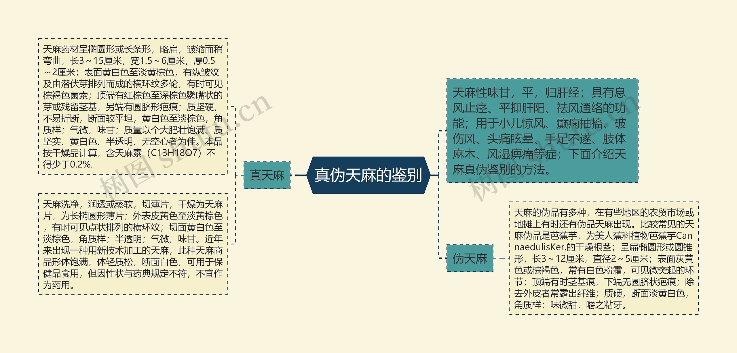 真伪天麻的鉴别思维导图