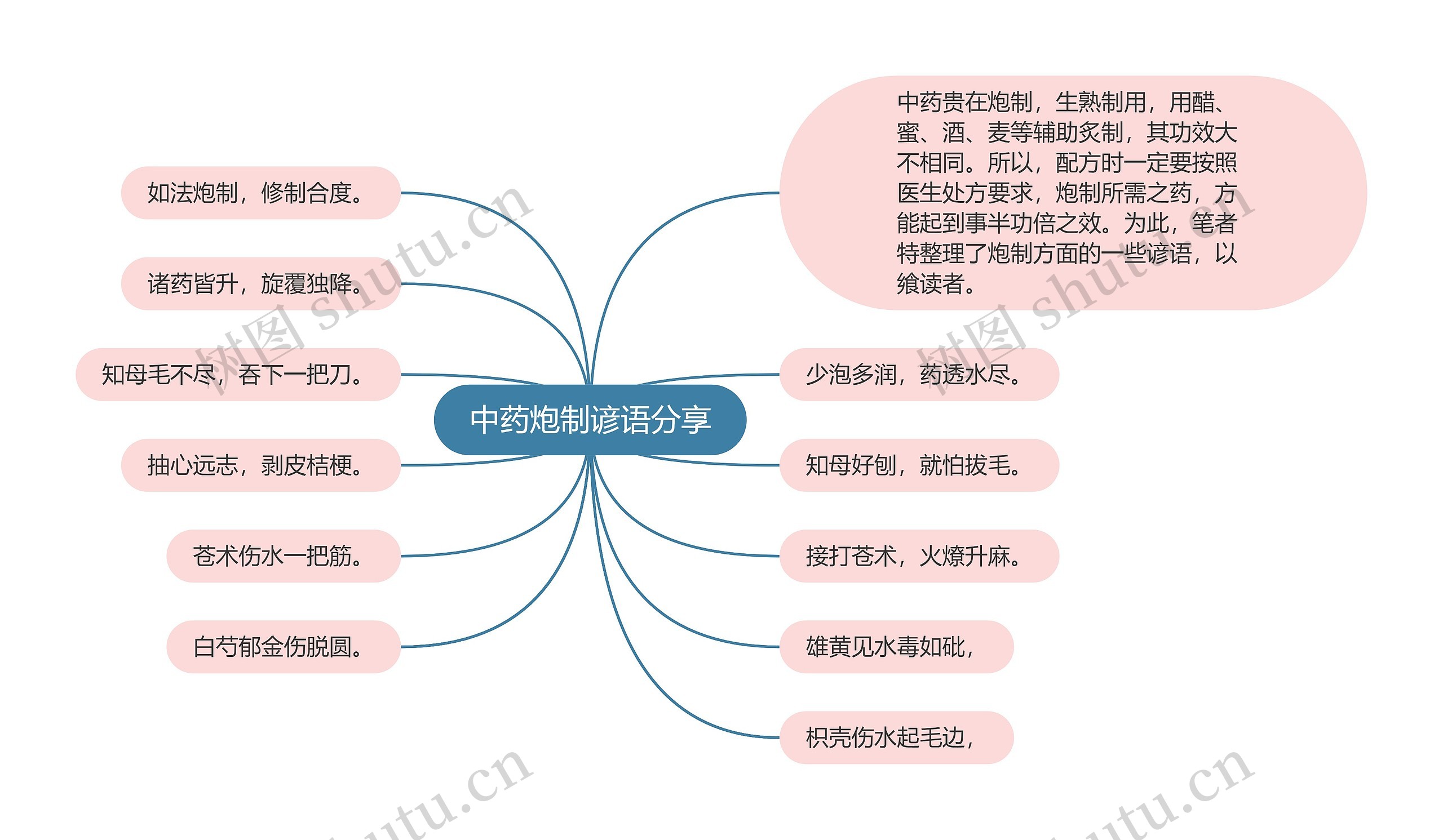 中药炮制谚语分享思维导图