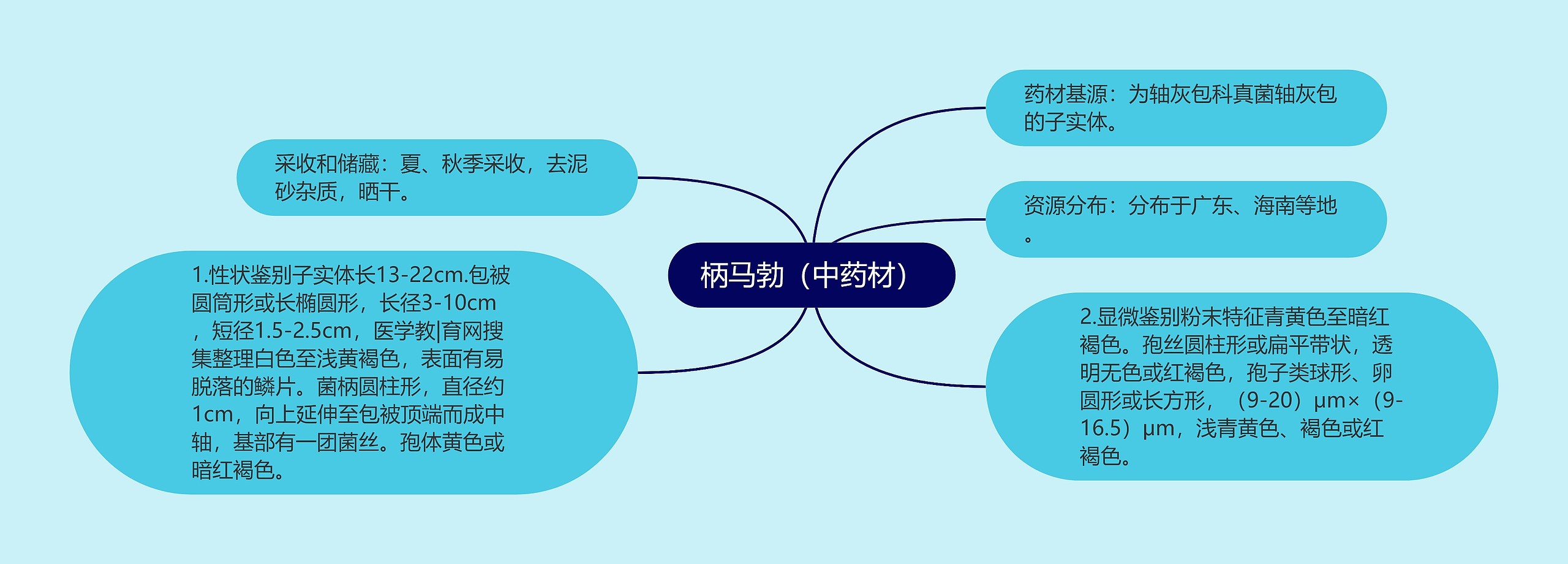 柄马勃（中药材）思维导图