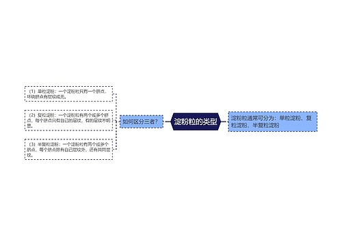 淀粉粒的类型