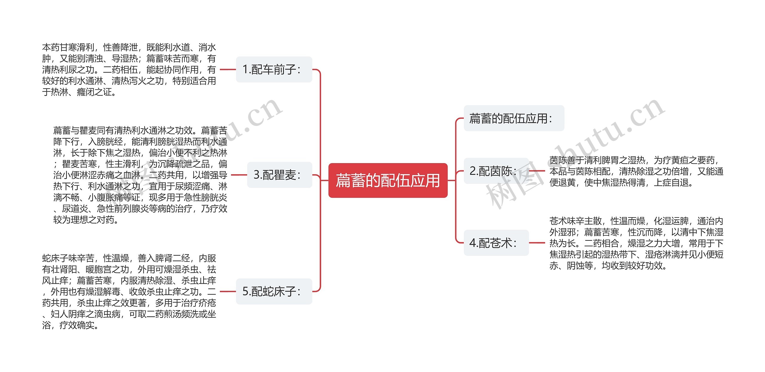 萹蓄的配伍应用思维导图