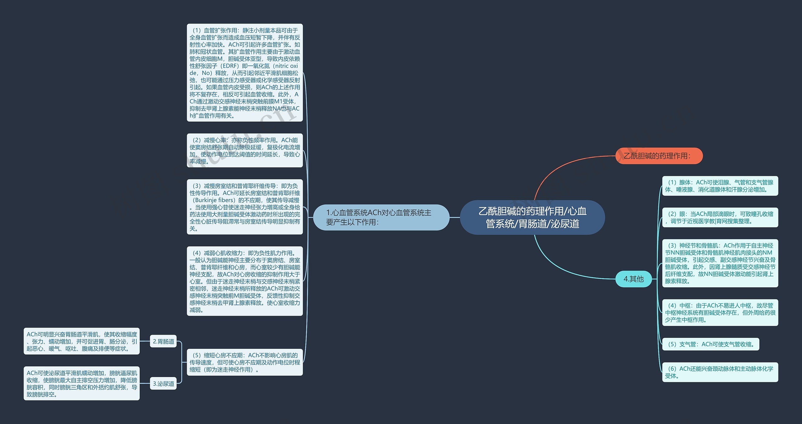 乙酰胆碱的药理作用/心血管系统/胃肠道/泌尿道思维导图