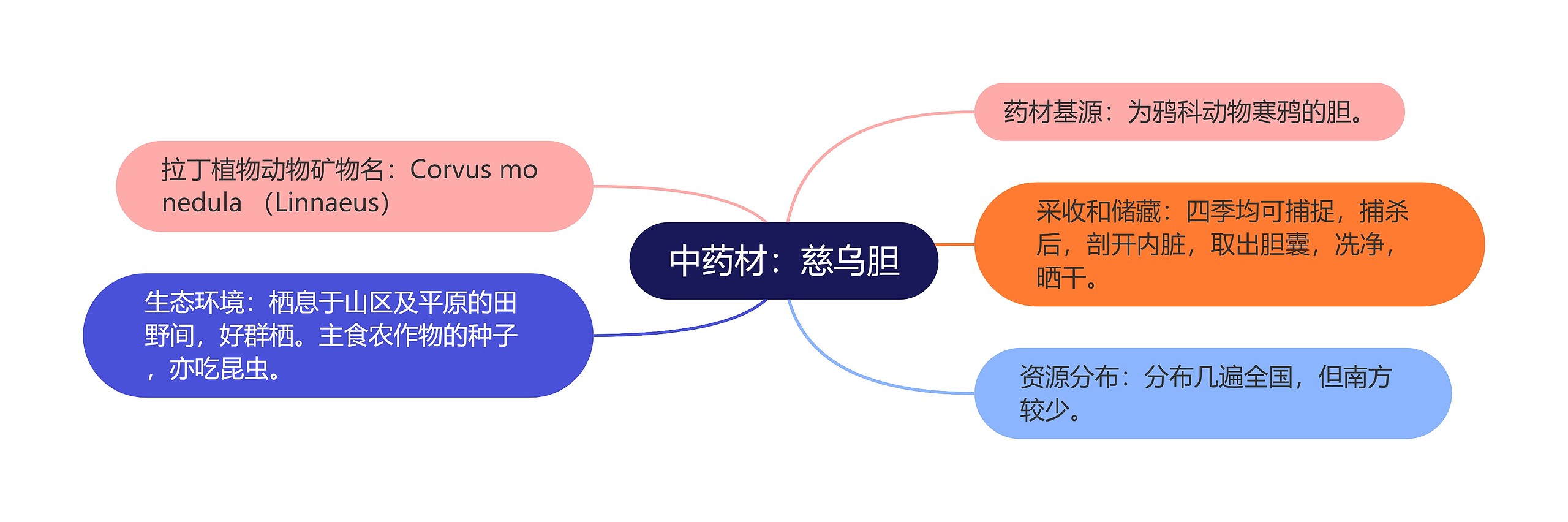 中药材：慈乌胆思维导图