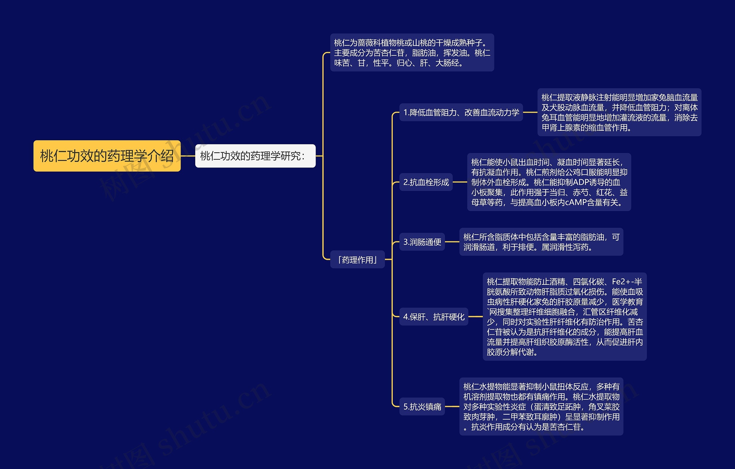 桃仁功效的药理学介绍思维导图