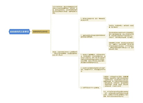 结核病用药注意事项