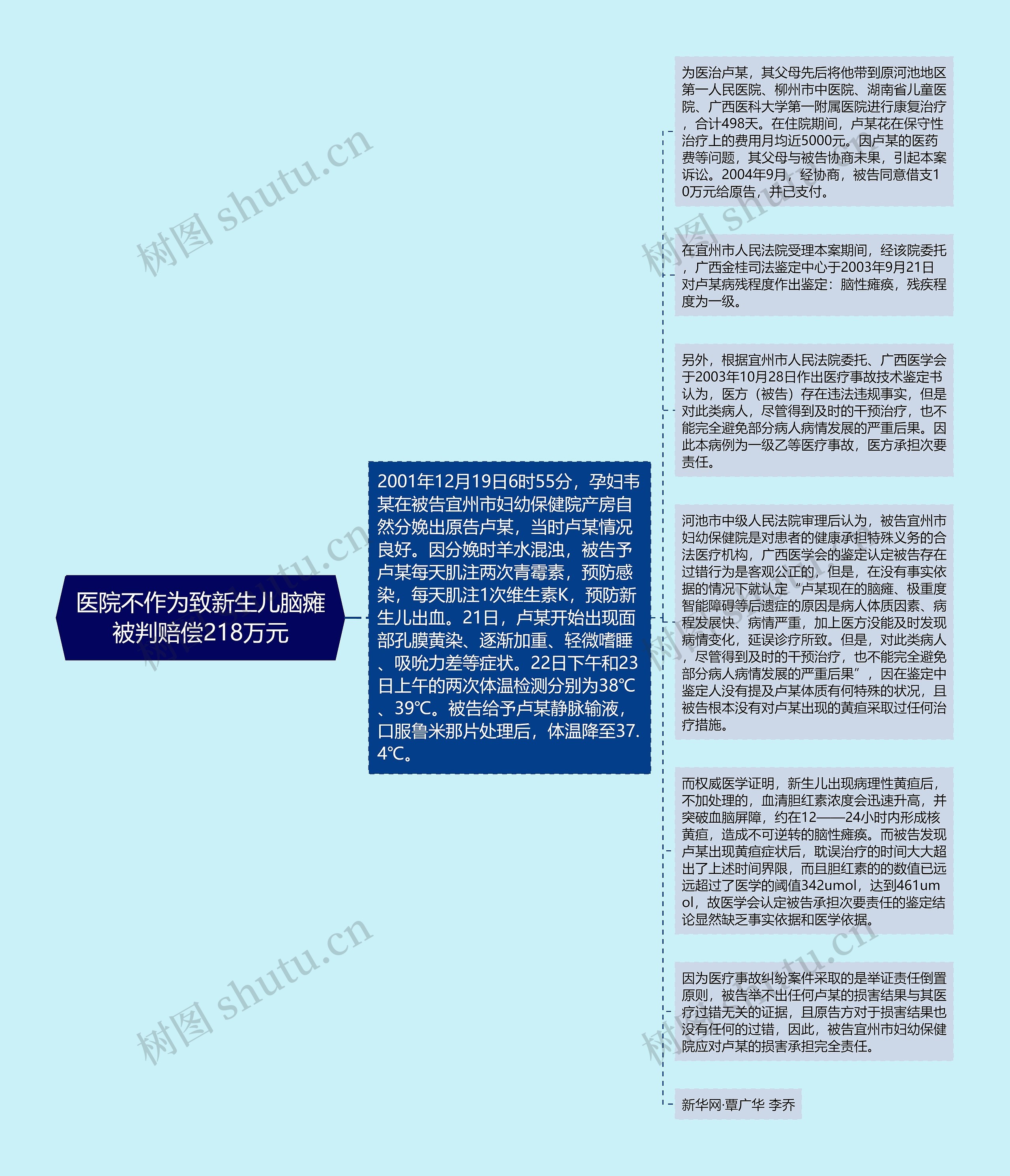 医院不作为致新生儿脑瘫被判赔偿218万元思维导图