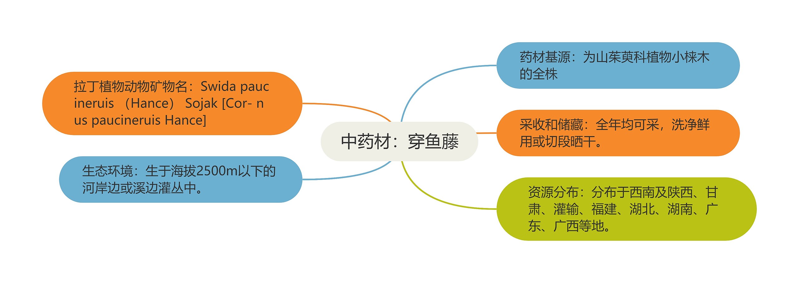 中药材：穿鱼藤思维导图