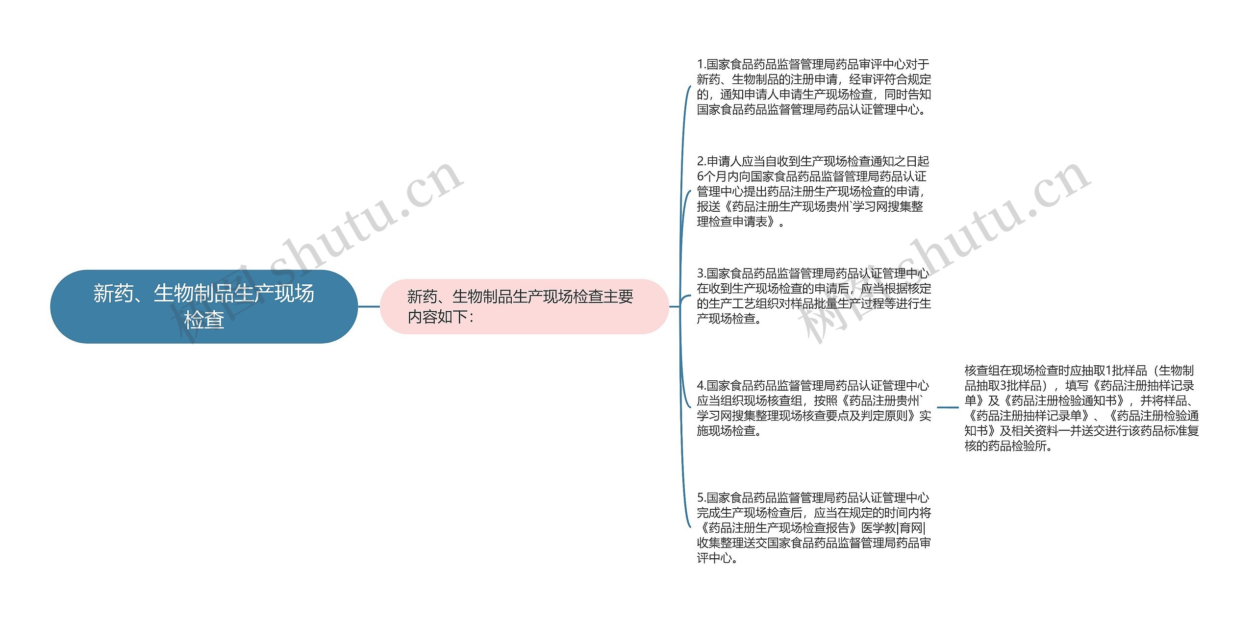 新药、生物制品生产现场检查思维导图