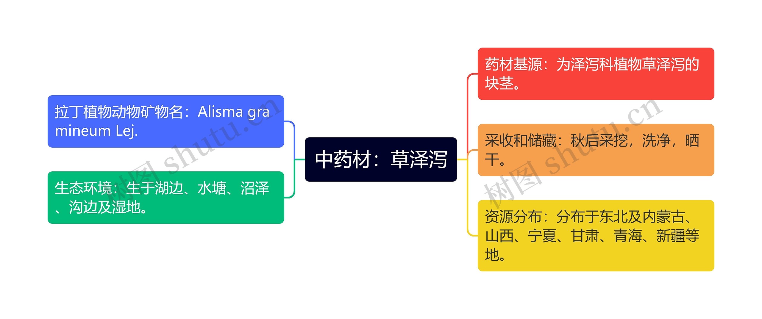 中药材：草泽泻思维导图