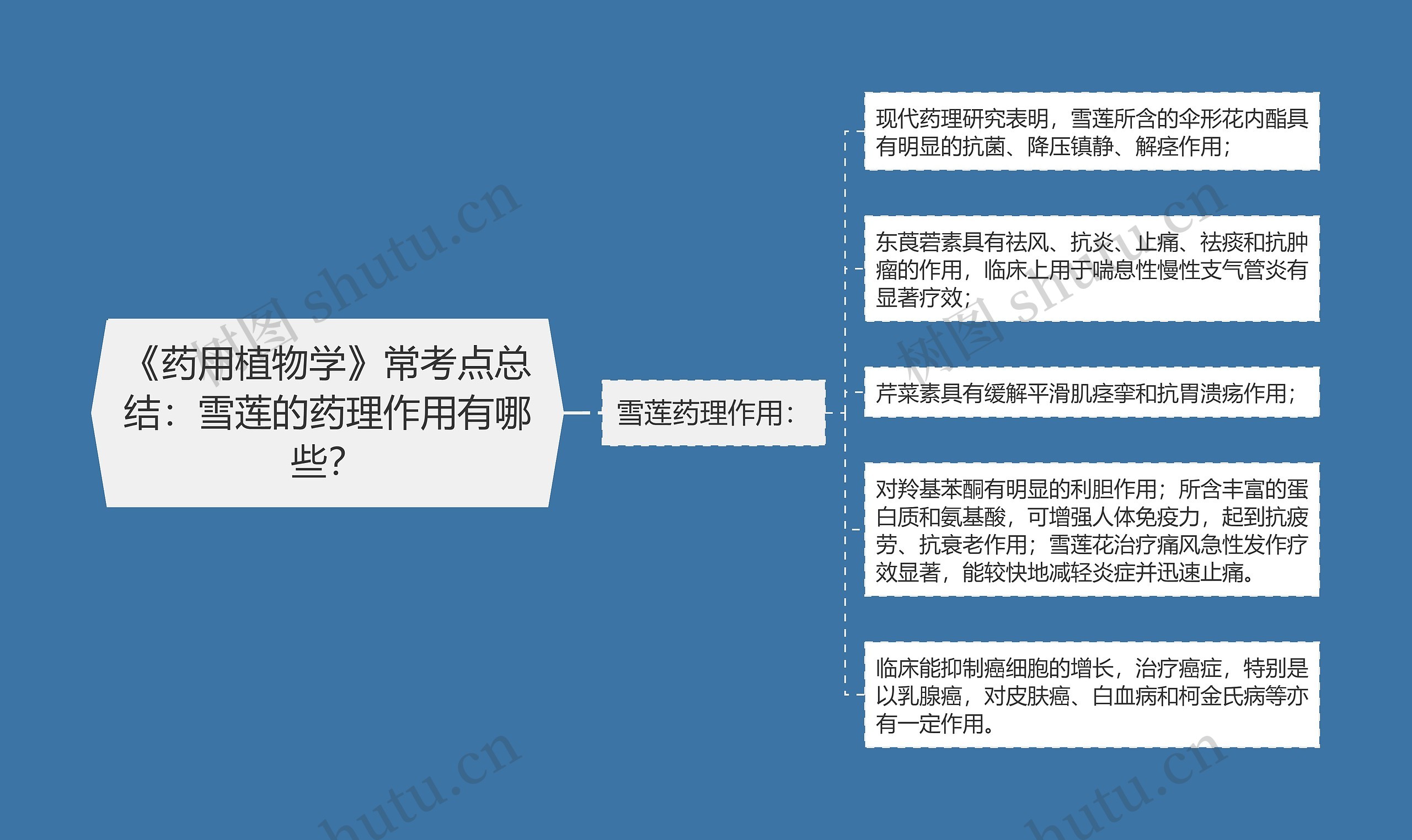 《药用植物学》常考点总结：雪莲的药理作用有哪些？思维导图