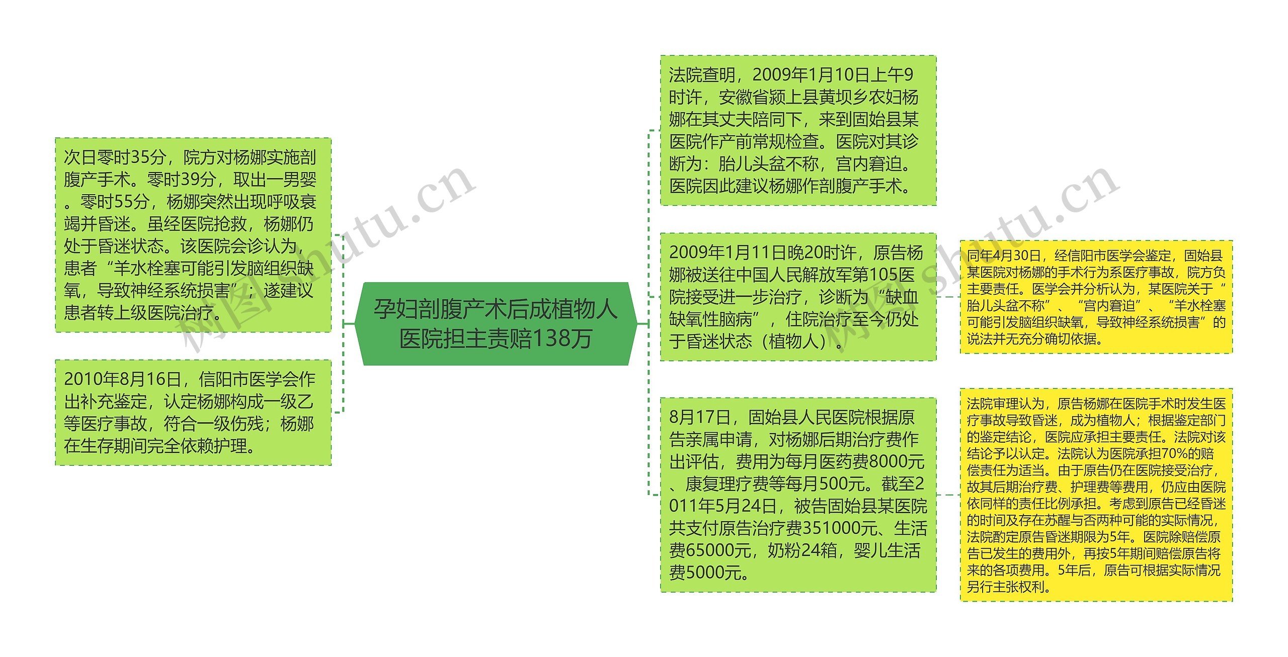 孕妇剖腹产术后成植物人医院担主责赔138万