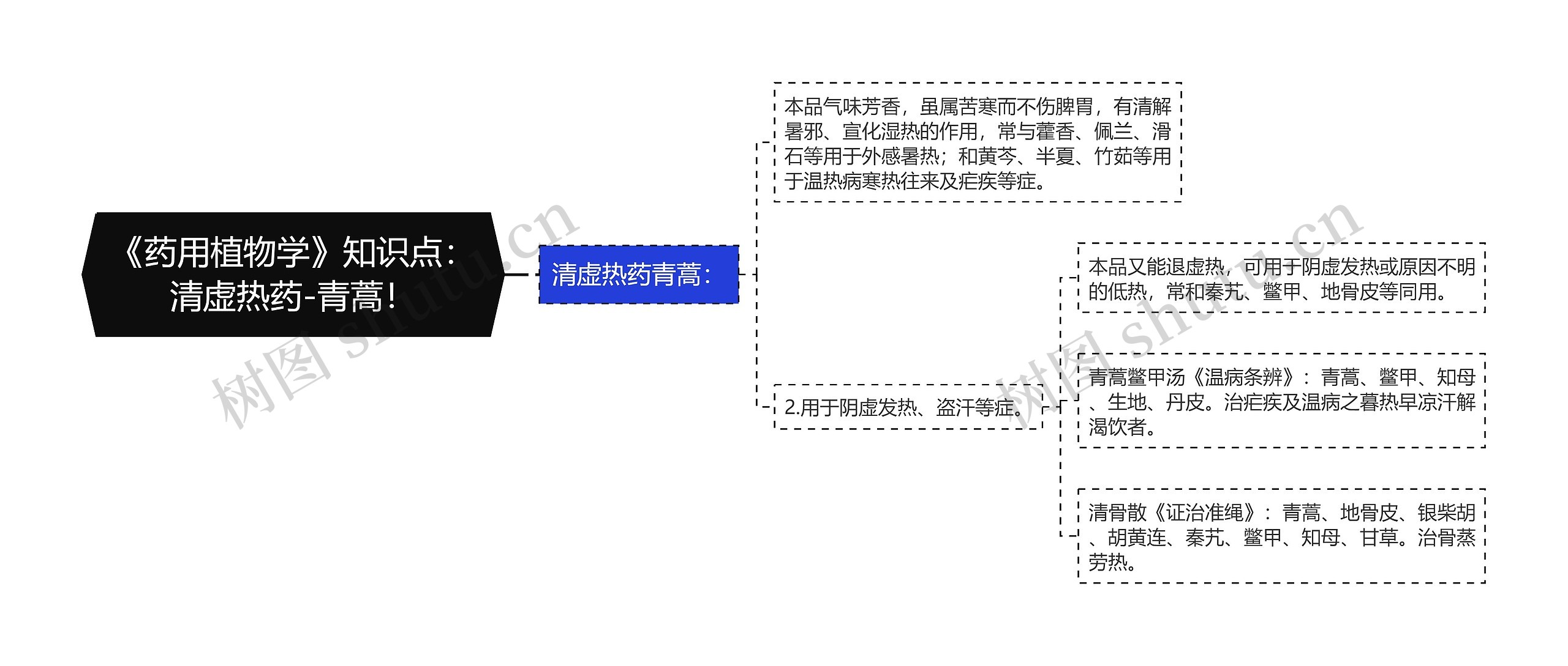 《药用植物学》知识点：清虚热药-青蒿！思维导图