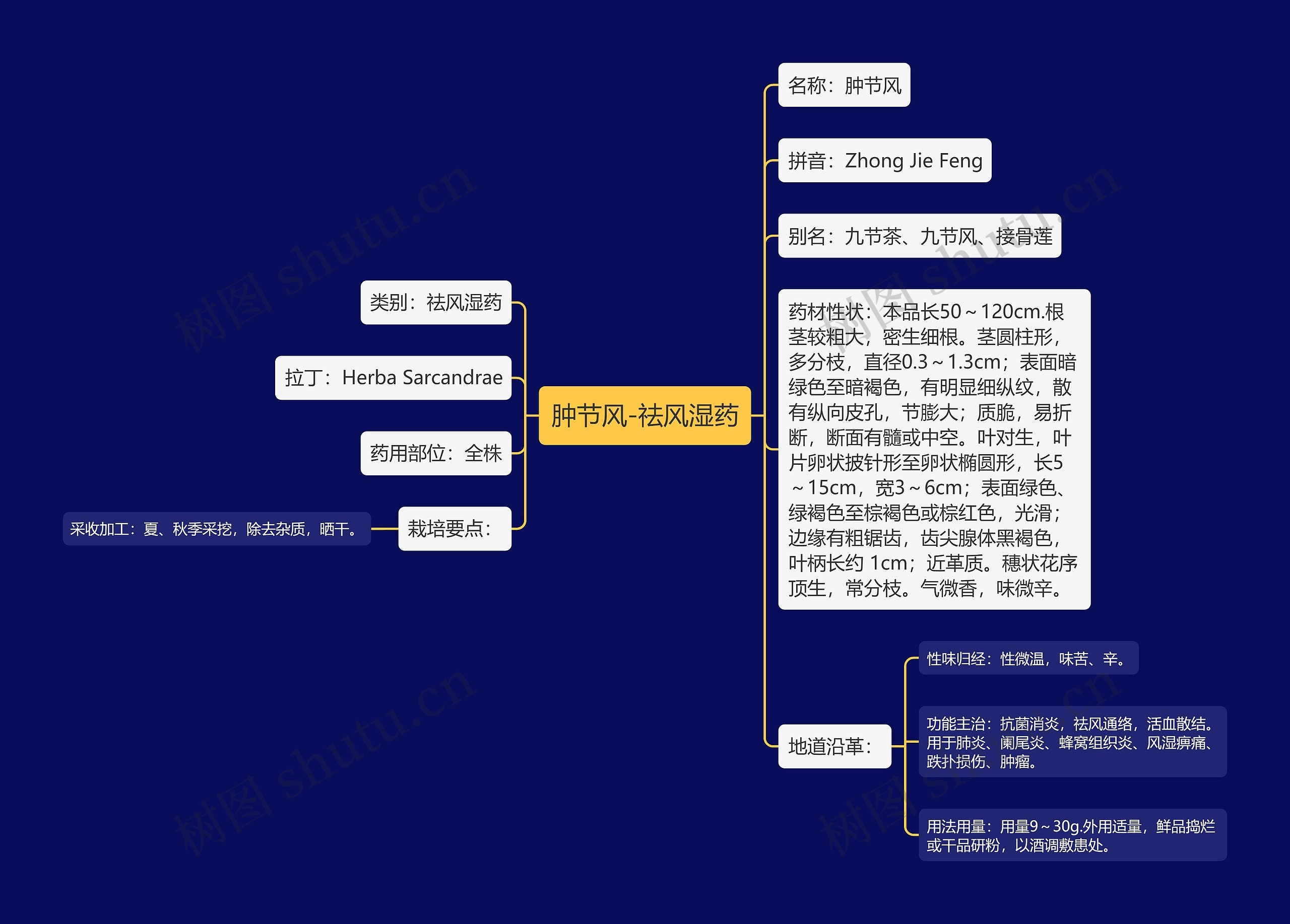 肿节风-祛风湿药思维导图