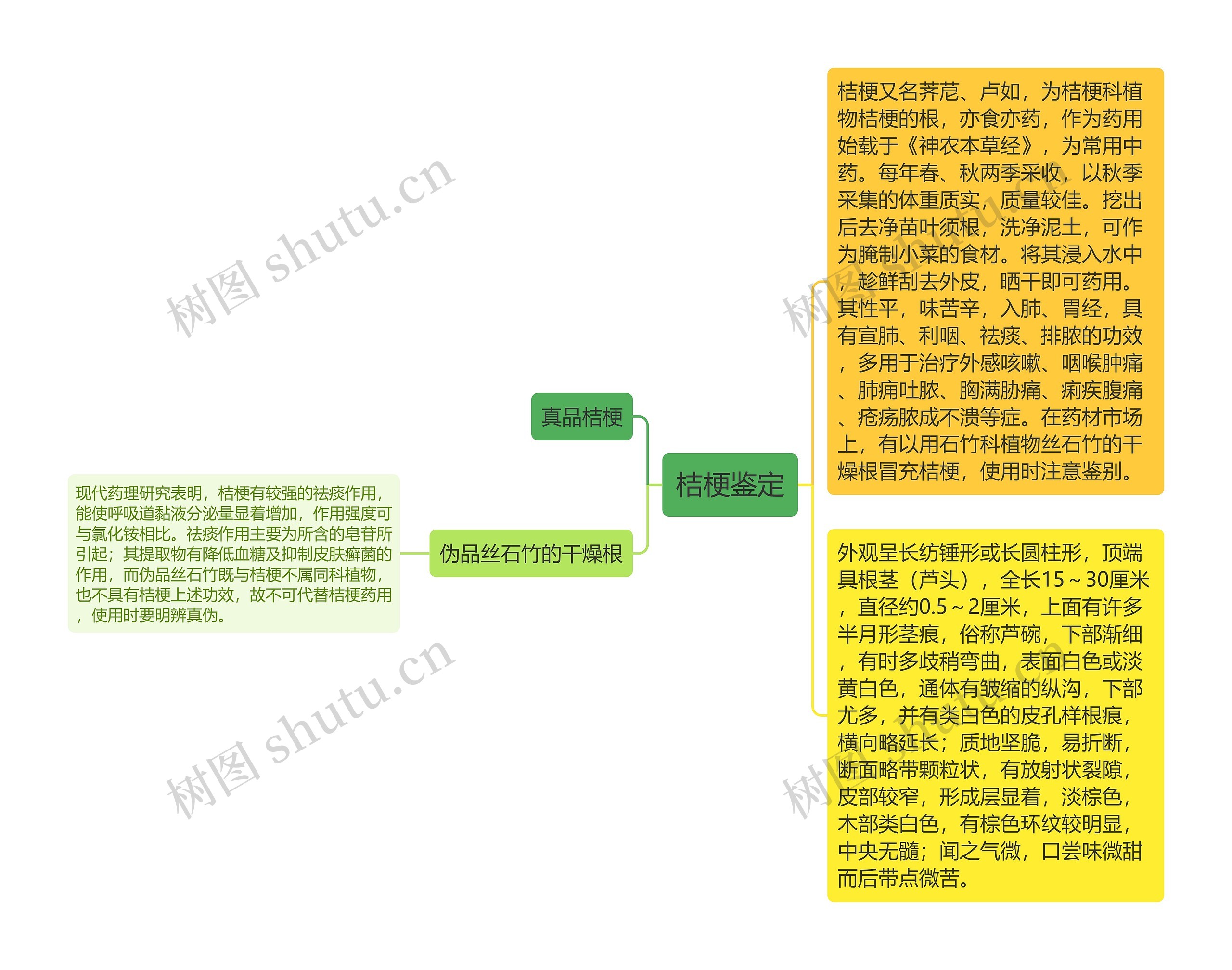 桔梗鉴定思维导图