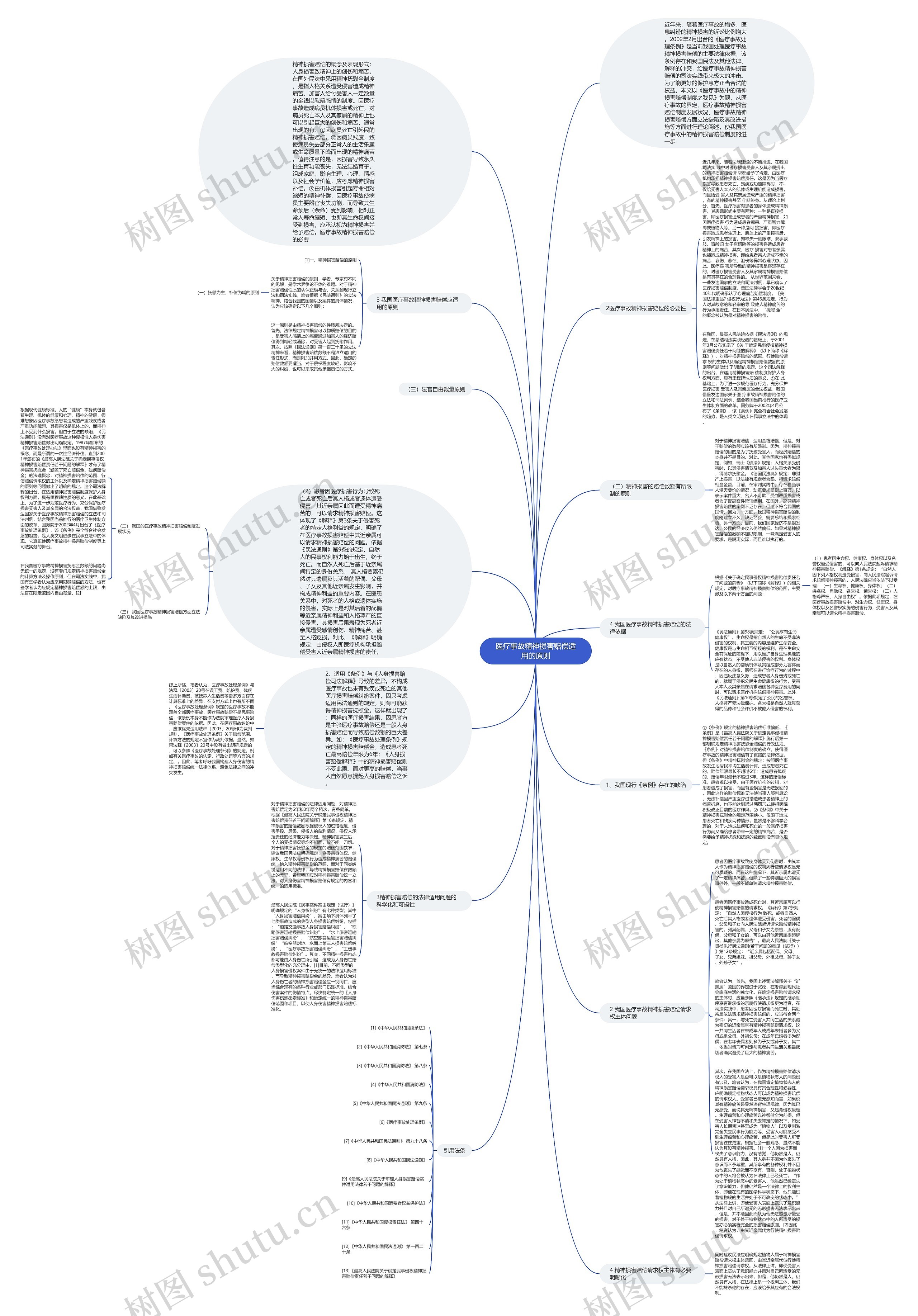 医疗事故精神损害赔偿适用的原则思维导图