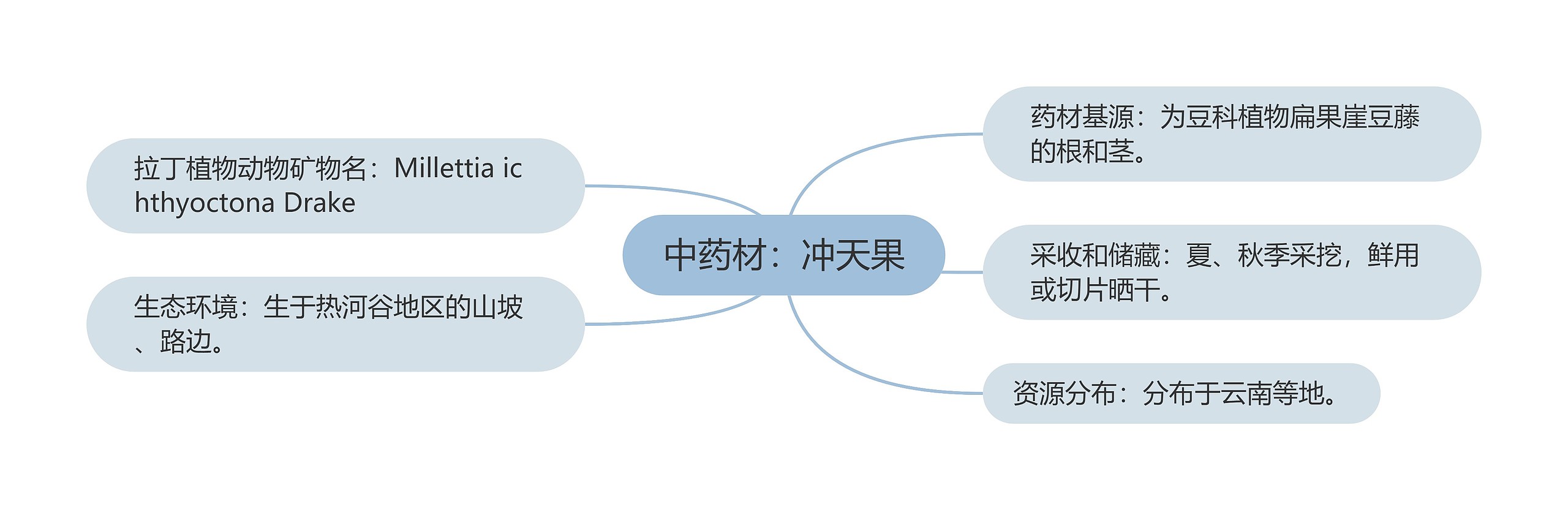 中药材：冲天果