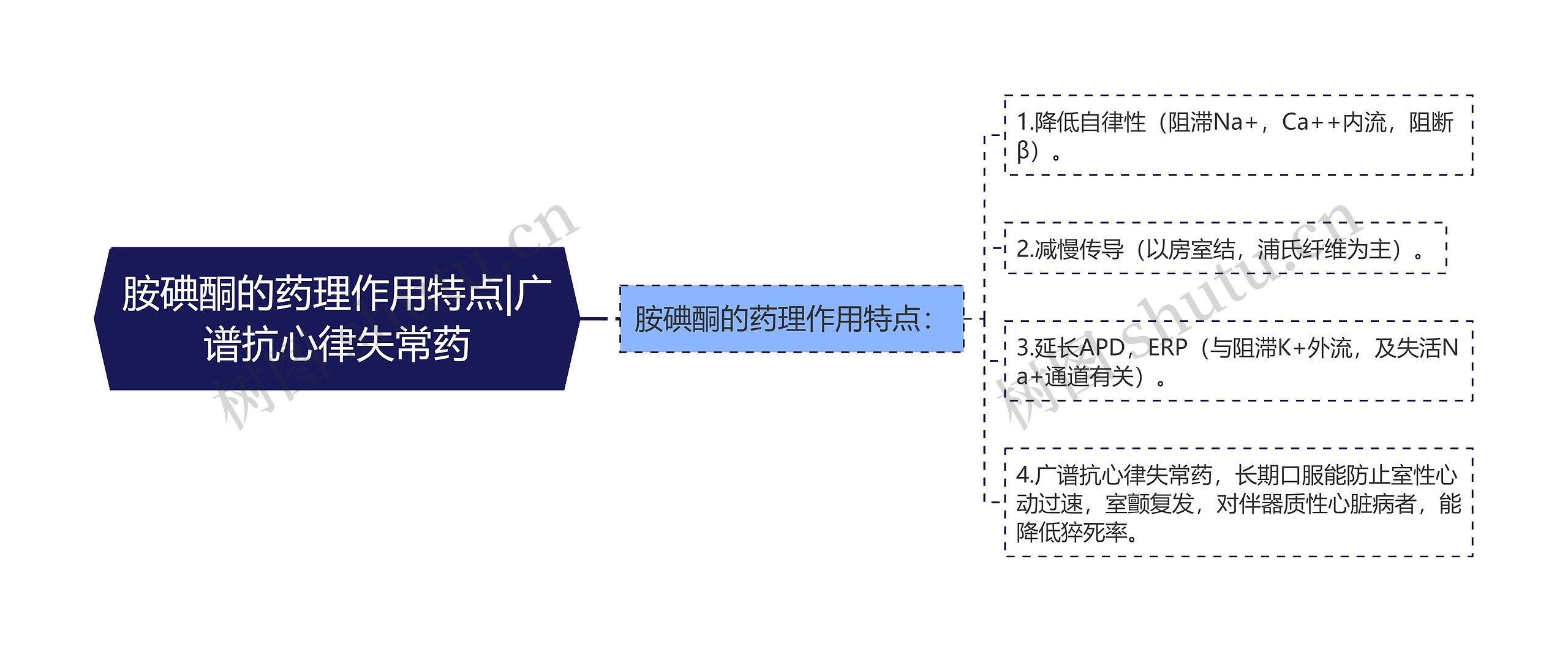 胺碘酮的药理作用特点|广谱抗心律失常药