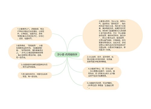 浮小麦-药用植物学思维导图