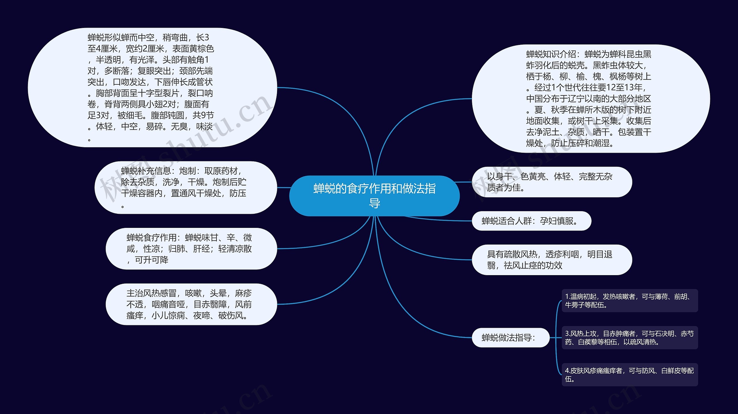 蝉蜕的食疗作用和做法指导思维导图