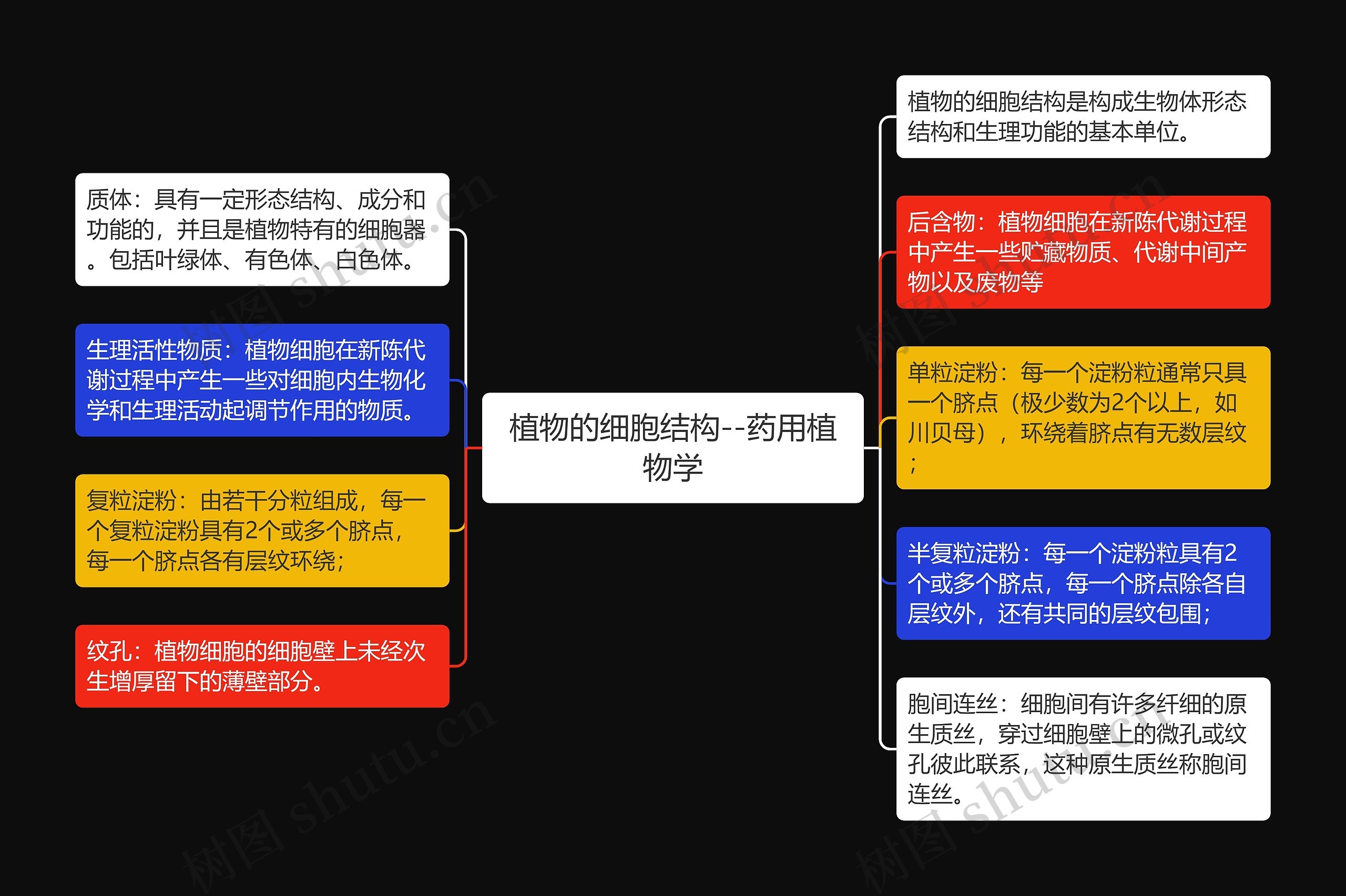 植物的细胞结构--药用植物学思维导图