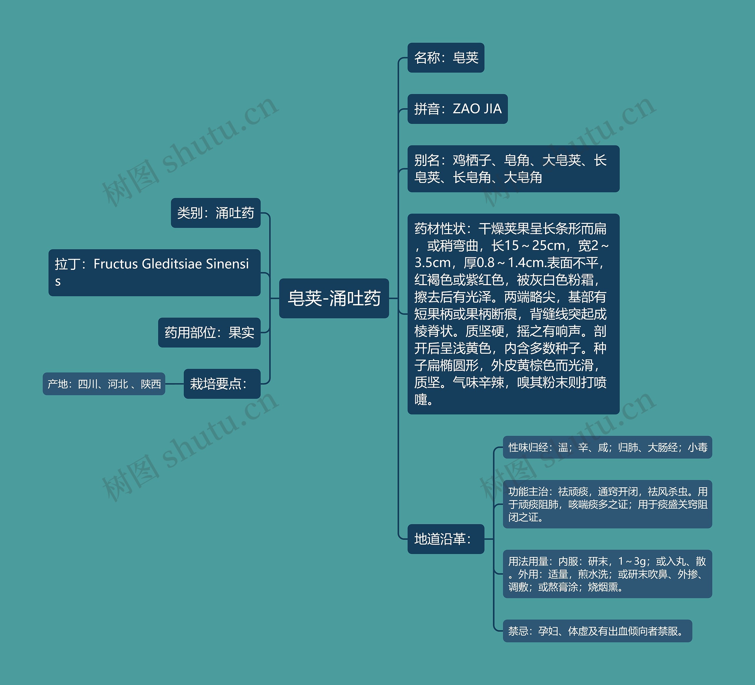 皂荚-涌吐药 皂荚-涌吐药
