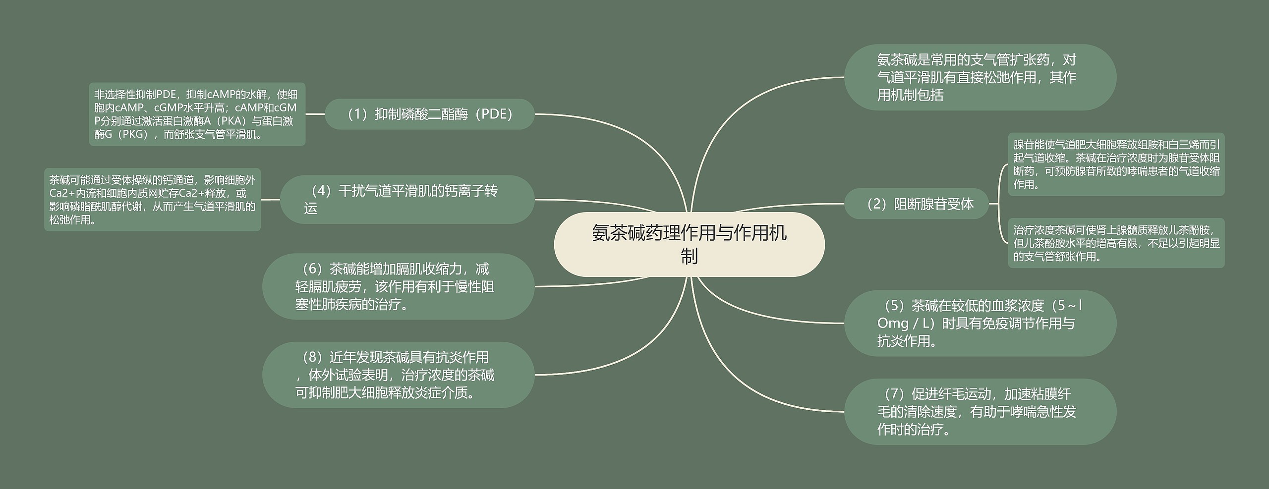 氨茶碱药理作用与作用机制