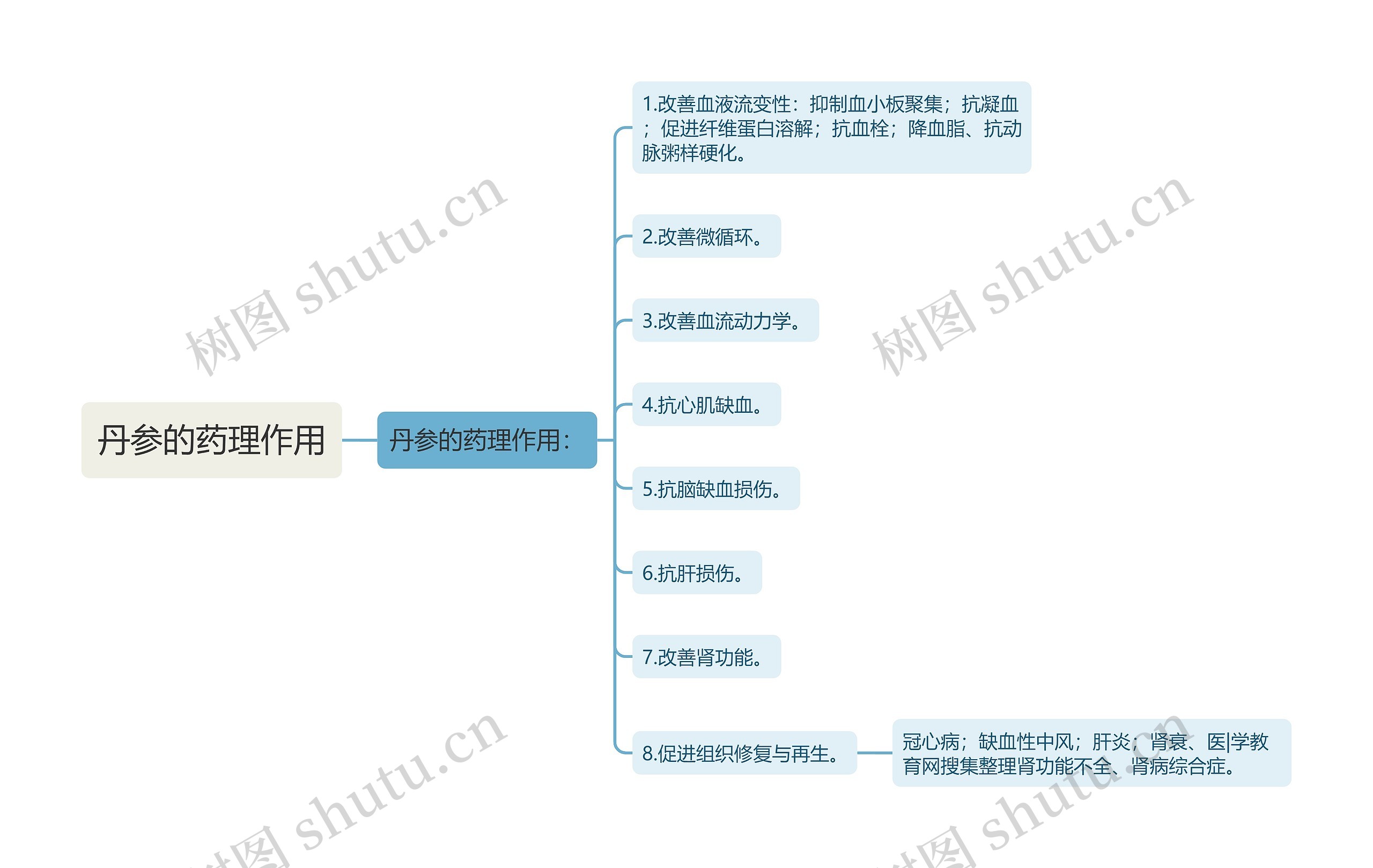 丹参的药理作用